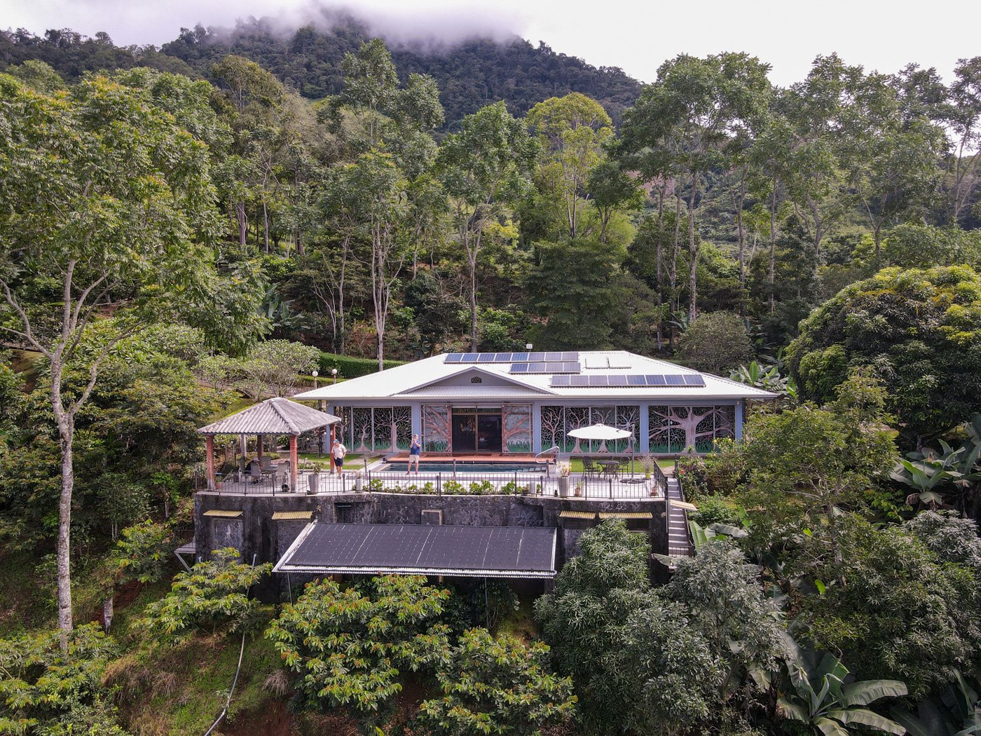 10-Acre Estate with Coffee Farm in San Jeronimo, Perez Zeledon property photo 4