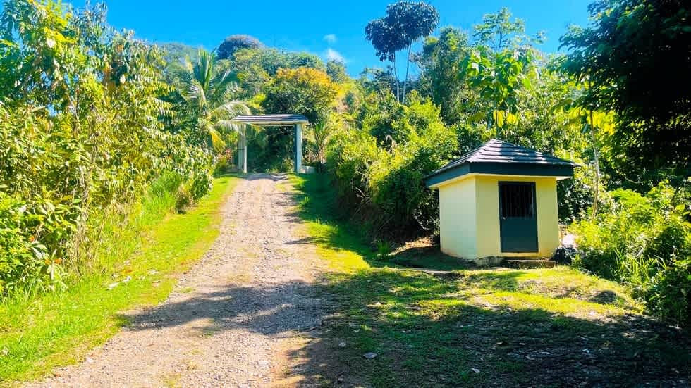 Turnkey Ocean View Villa (Casa Linda Vista) Above Dominical Beach property photo 4