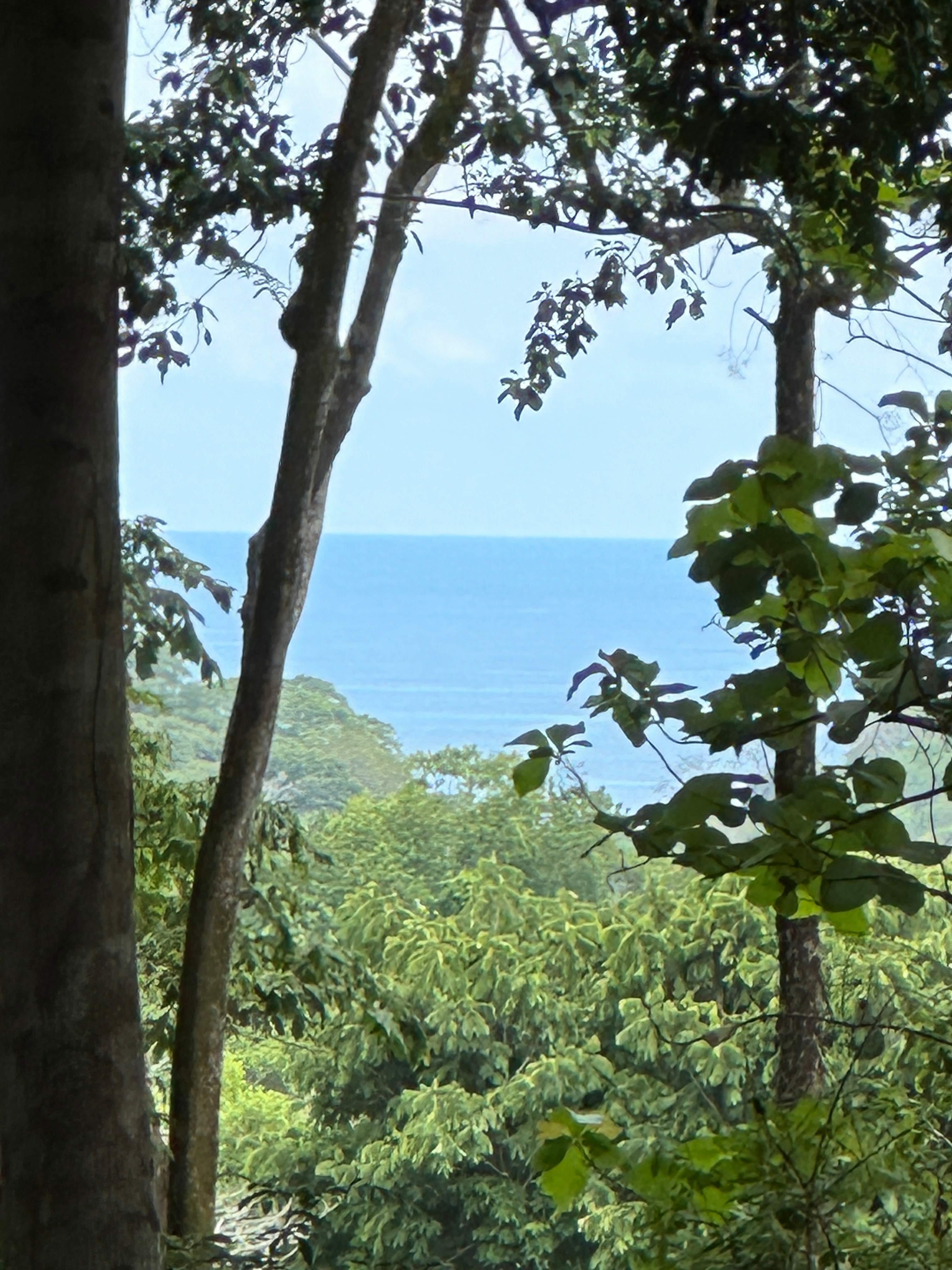 8.8-Acre Development Land Near Dominicalito Bay in Dominical, Costa Rica