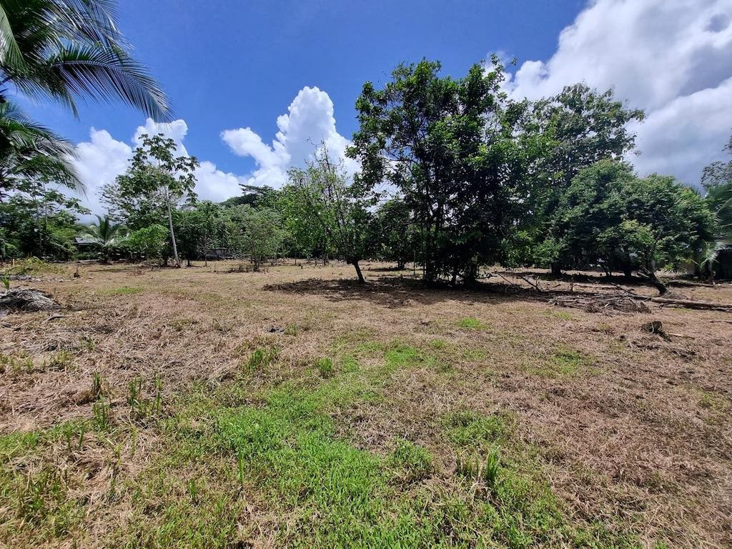 Commercial Lot Near Marino Ballena National Park, Uvita property photo 5