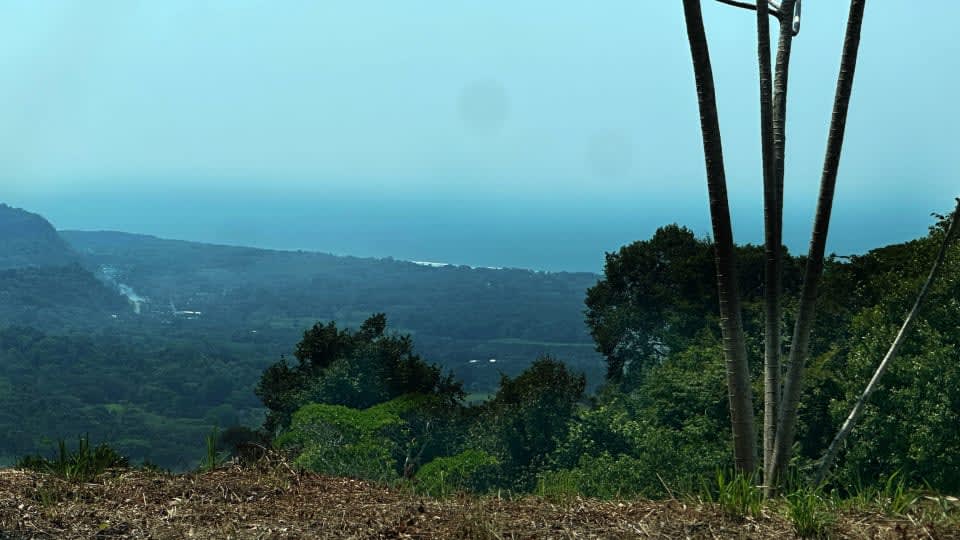 5.25-Acre Ocean View Land in Hills of Portalon property photo 3