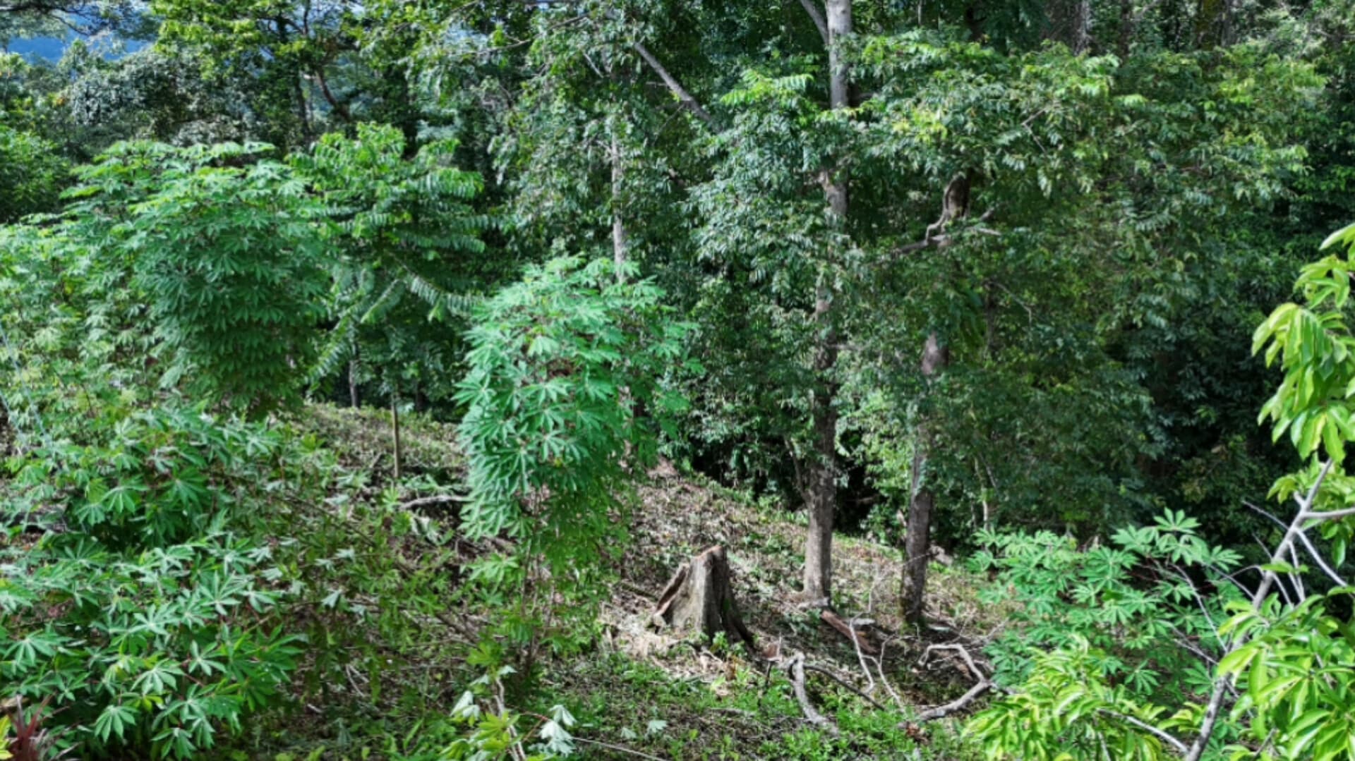 2.1-Acre Development Land in Uvita Hills property photo 2