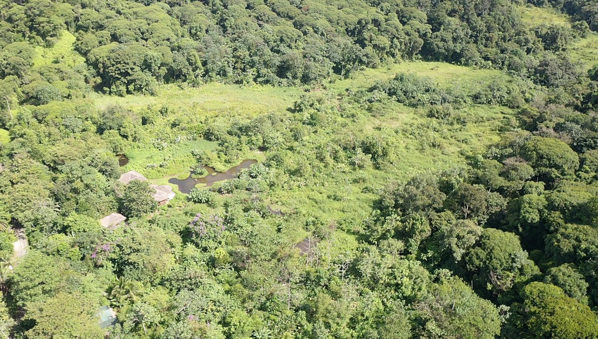 60-Acre Eco Estate (The Refugio) in La Gamba property photo 5