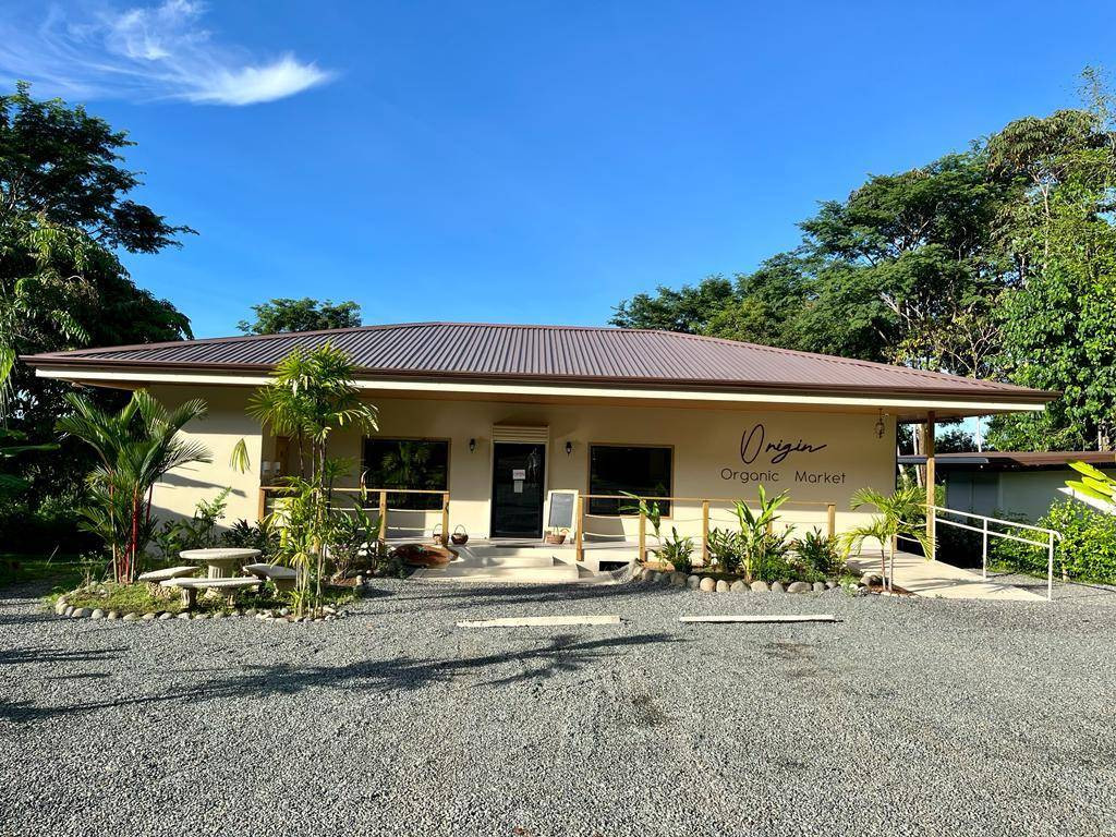 Commercial Plaza in Ojochal property photo 2