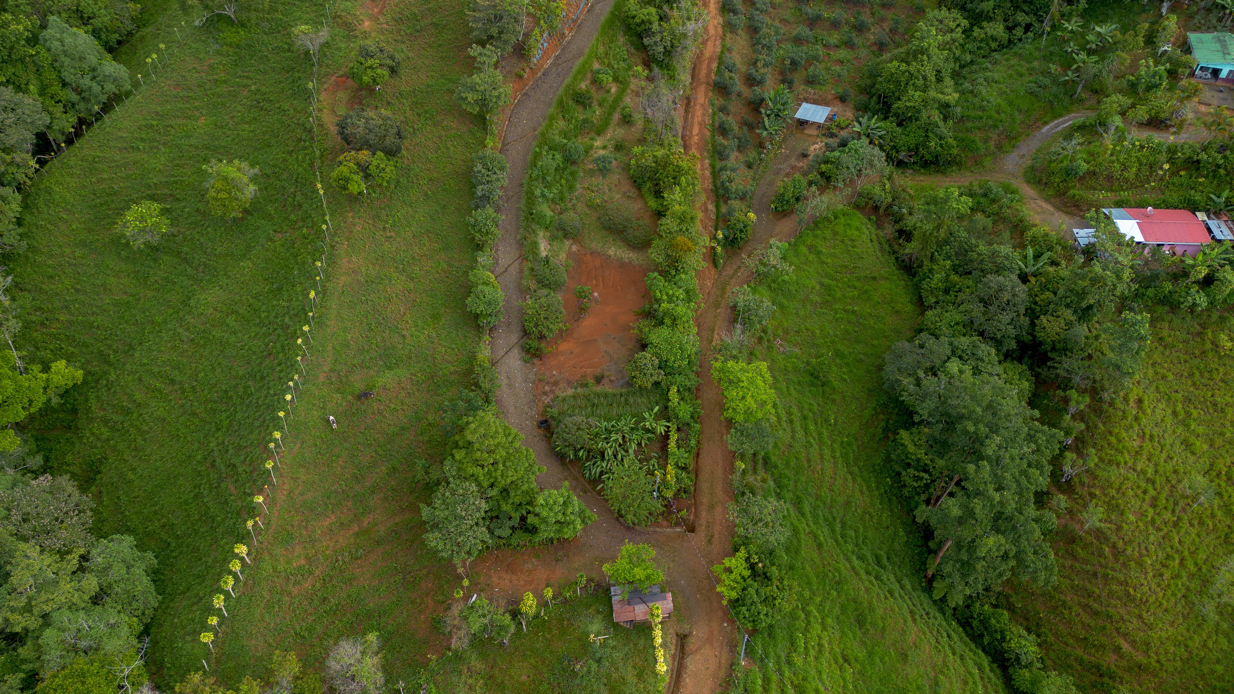 10-Acre Estate Land in San Miguel de Paramo, Perez Zeledon property photo 4