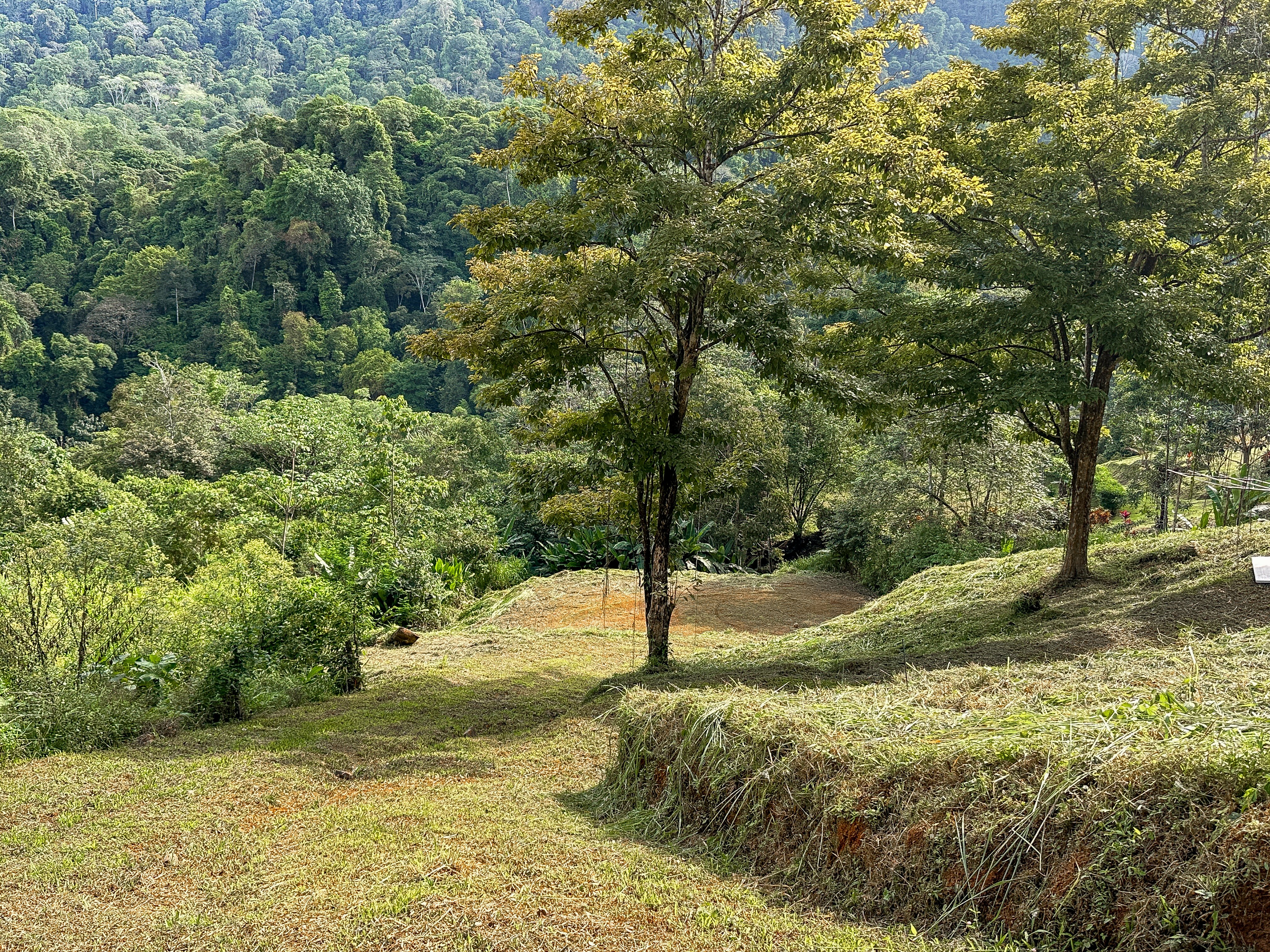 River and Waterfall Jungle Land in Union Road, Uvita property photo