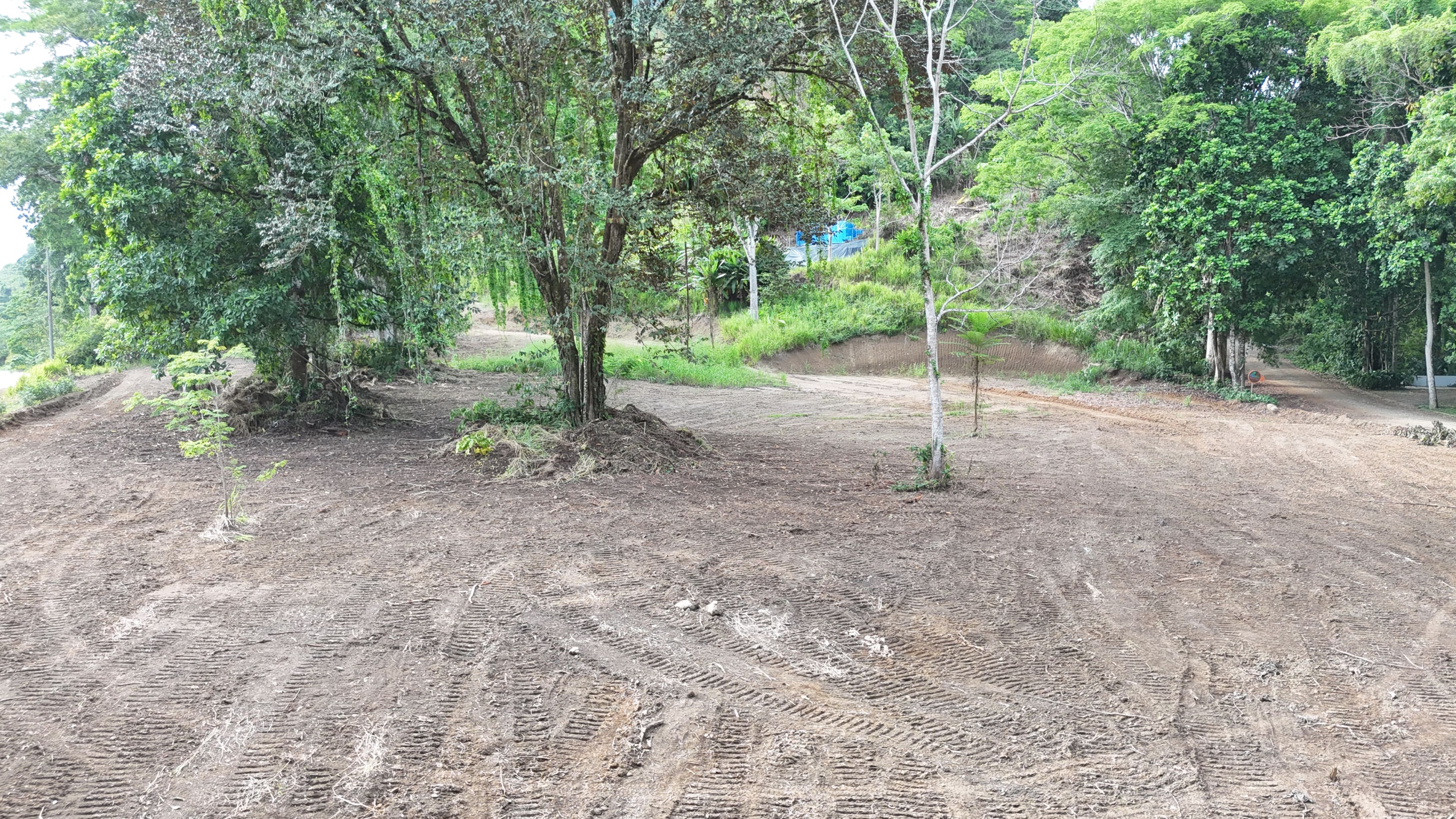 4-Acre Commercial Land on Main Highway, Vergel property photo 2