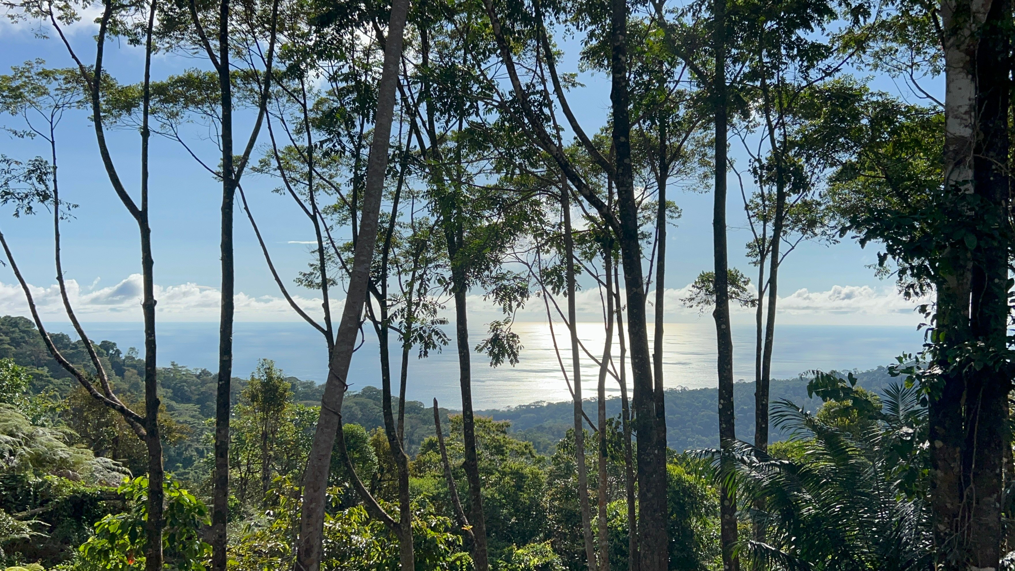Ocean View Land in the Uvita Mountains with Waterfall Access property photo 3
