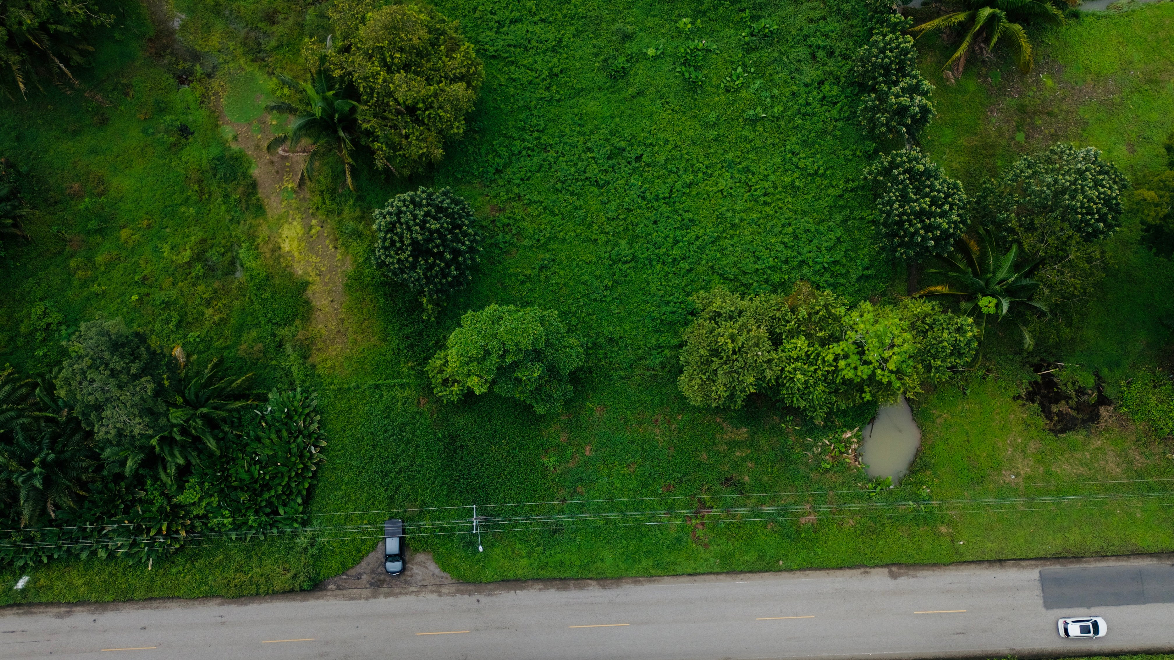 Commercial Land on Uvita’s Main Highway property photo 3