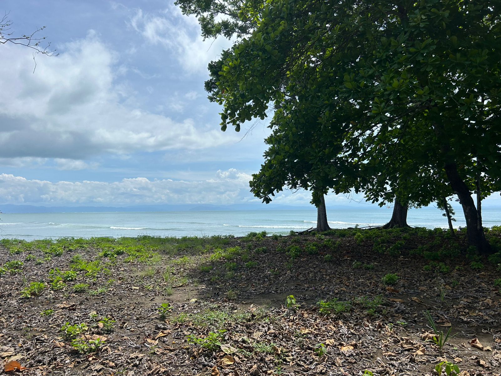 Beachfront Land on Playa Sombrero, Matapalo, Osa property photo 4