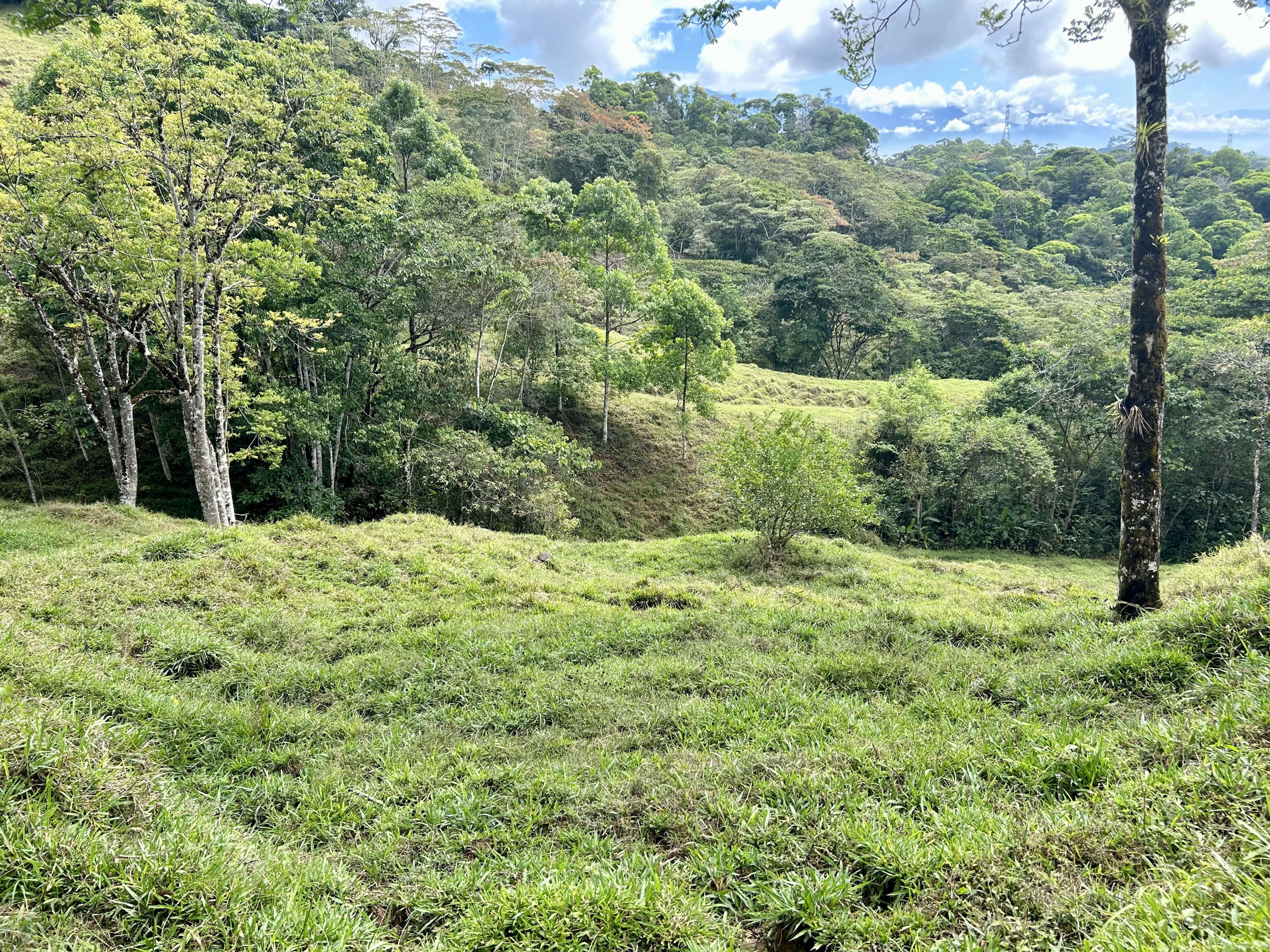 26-Acre Farm with Natural Springs in Alto de San Juan, Perez Zeledon property photo 4