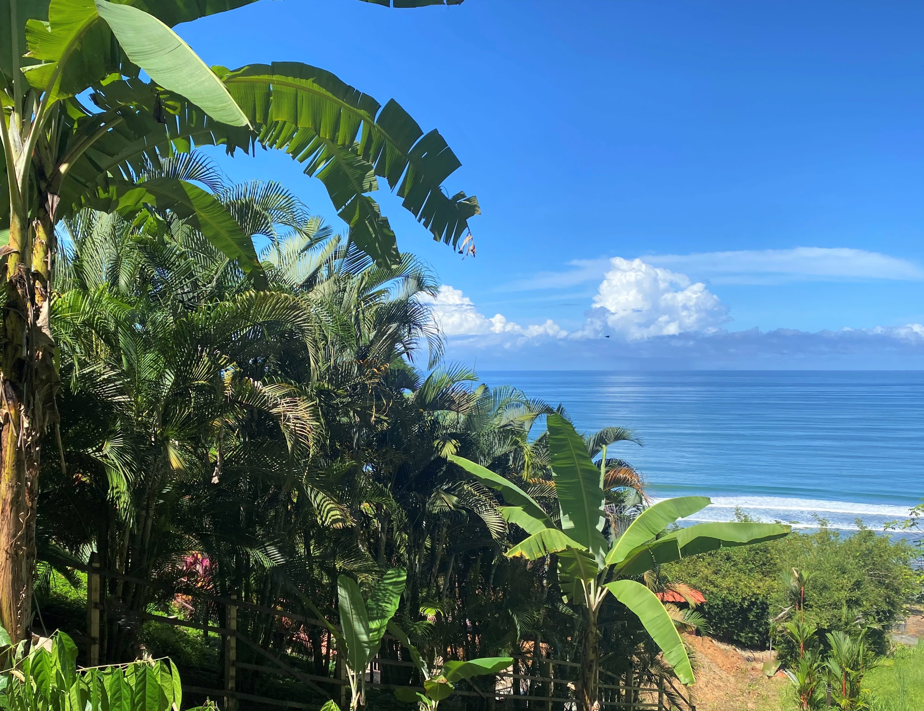 Ocean View Lot in Ayacucho, Dominical property photo 2