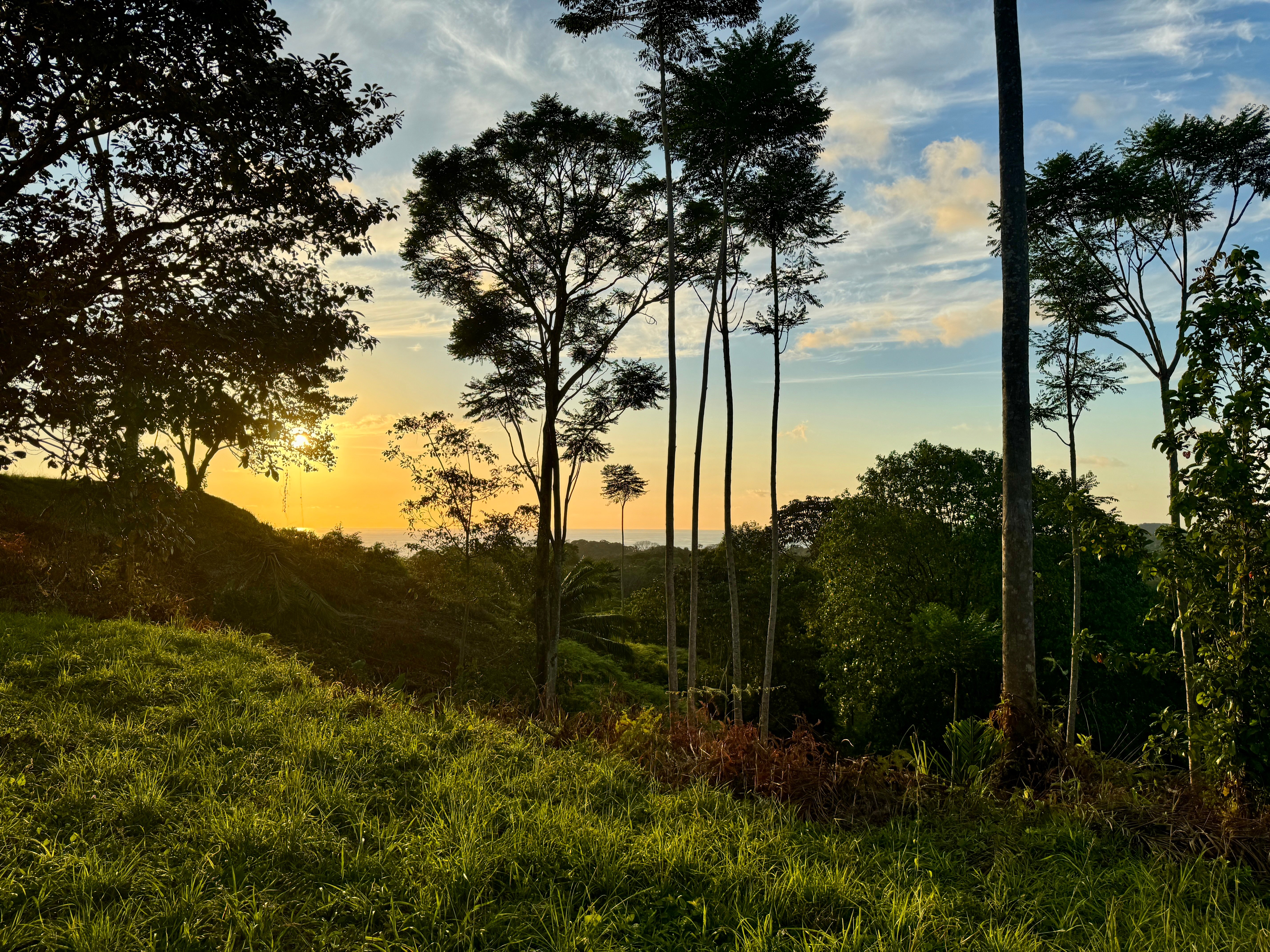 2-Acre Ocean View Lot in Finca Maranon, Ojochal property photo 5