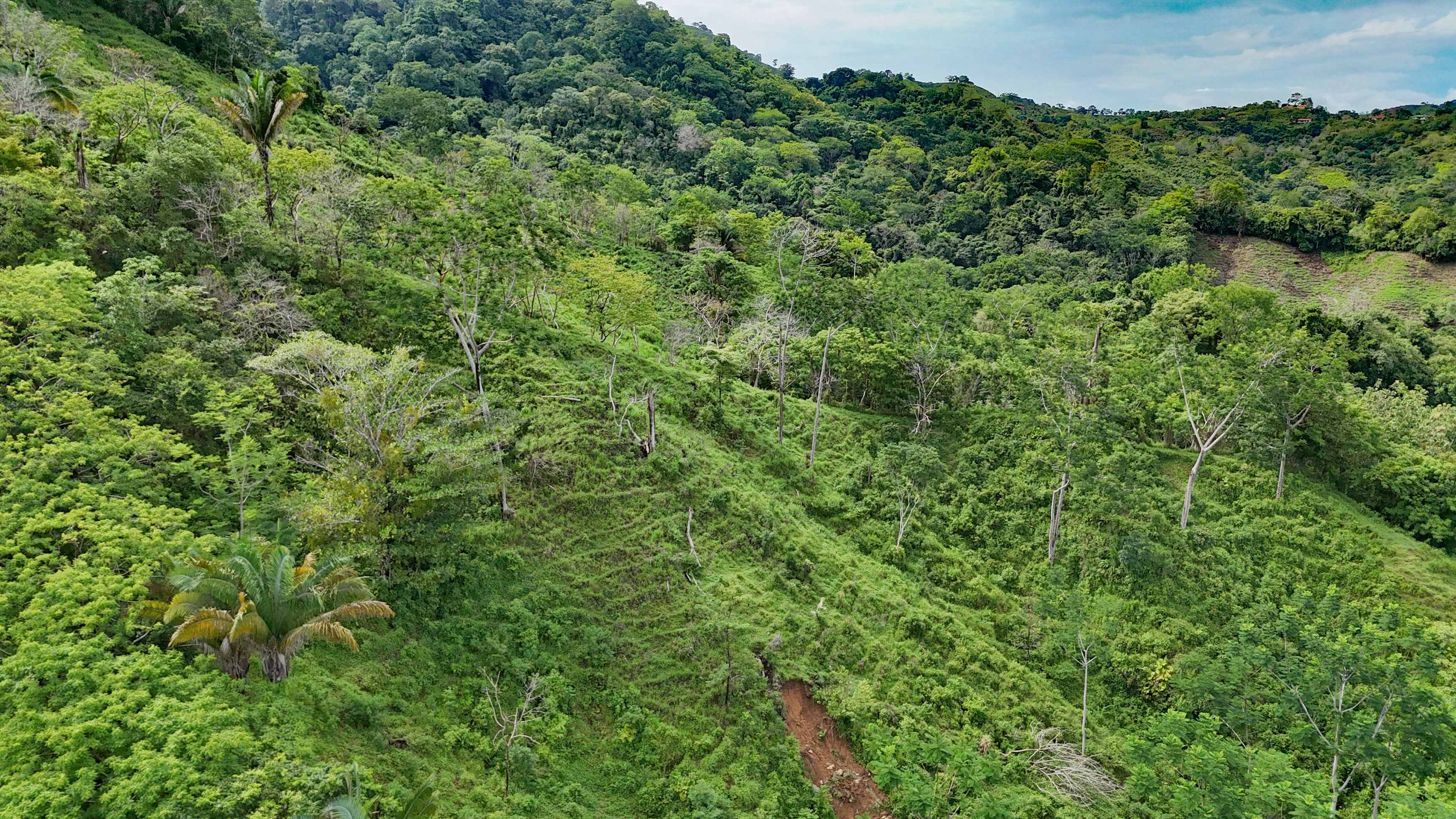 177-Acre Development Land Near Ojochal property photo 3