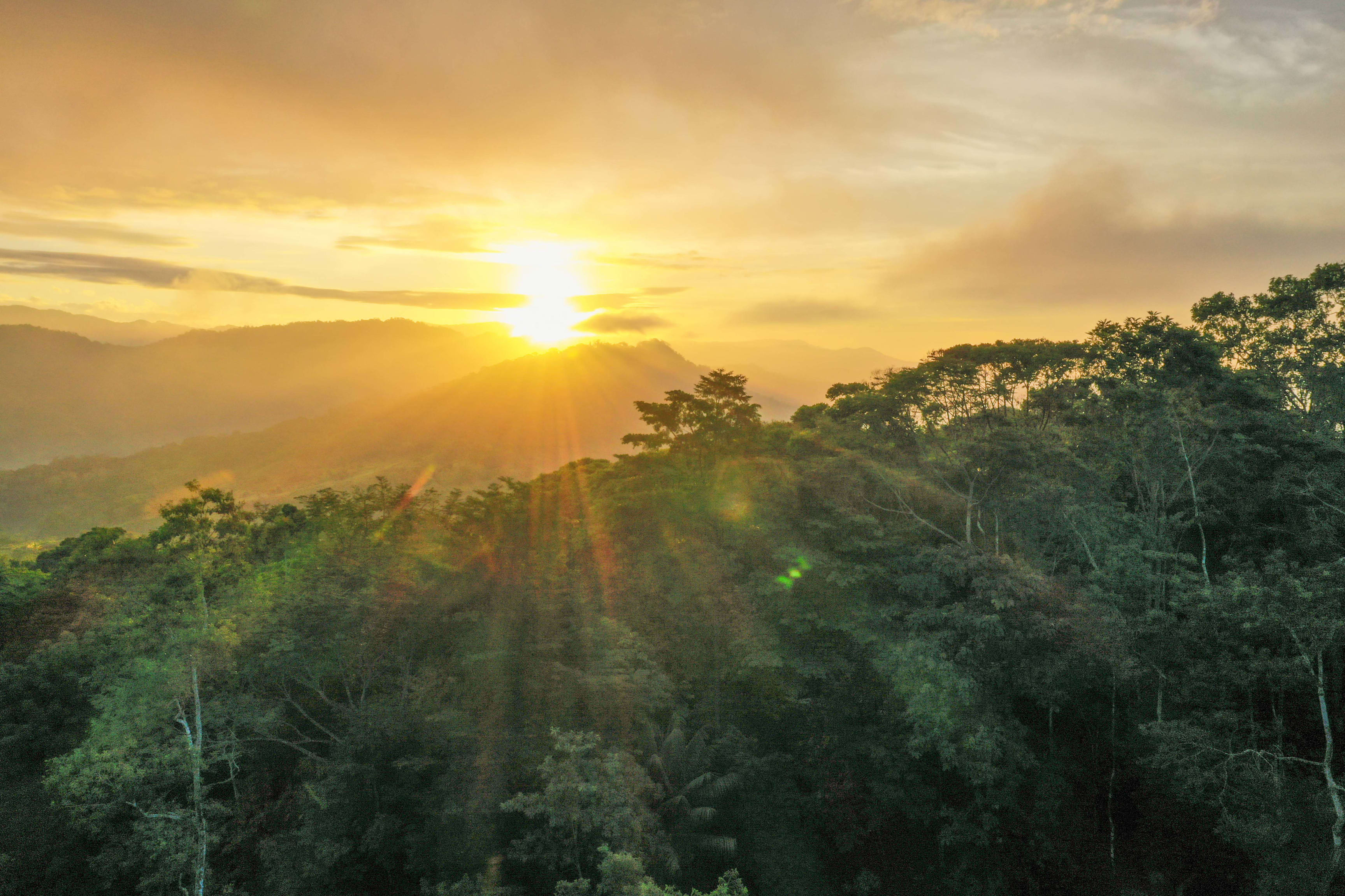 Eco-Resort on 10 Acres Near Dominical property photo 4
