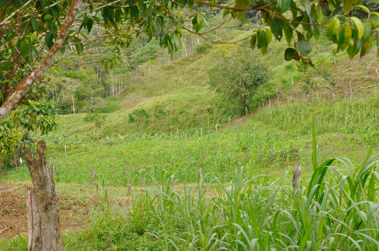 Waterfall View Farm Near Uvita property photo 2
