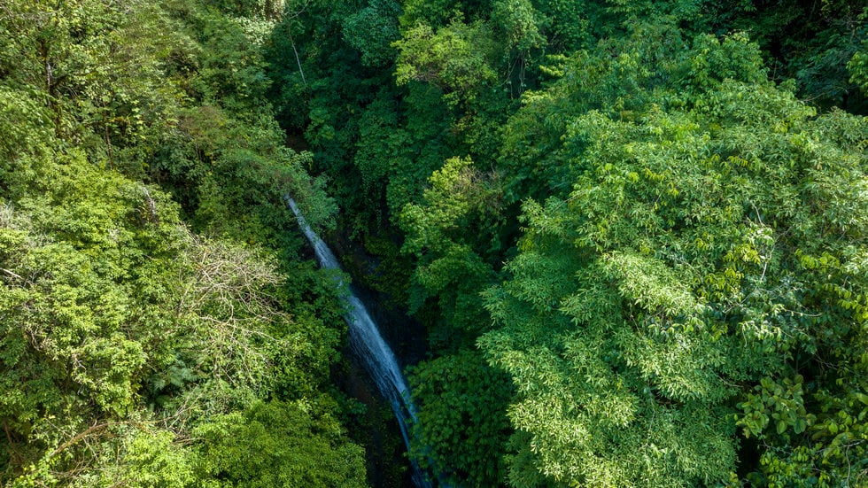 238-Acre Ocean View Farm in Portalon property photo 4