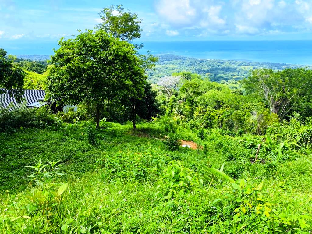 1.43-Acre Ocean View Land in Uvita property photo 4