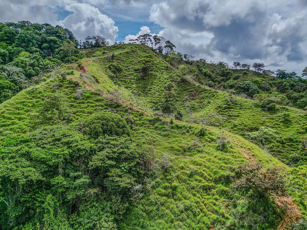 Thumbnail: Land in Dominical