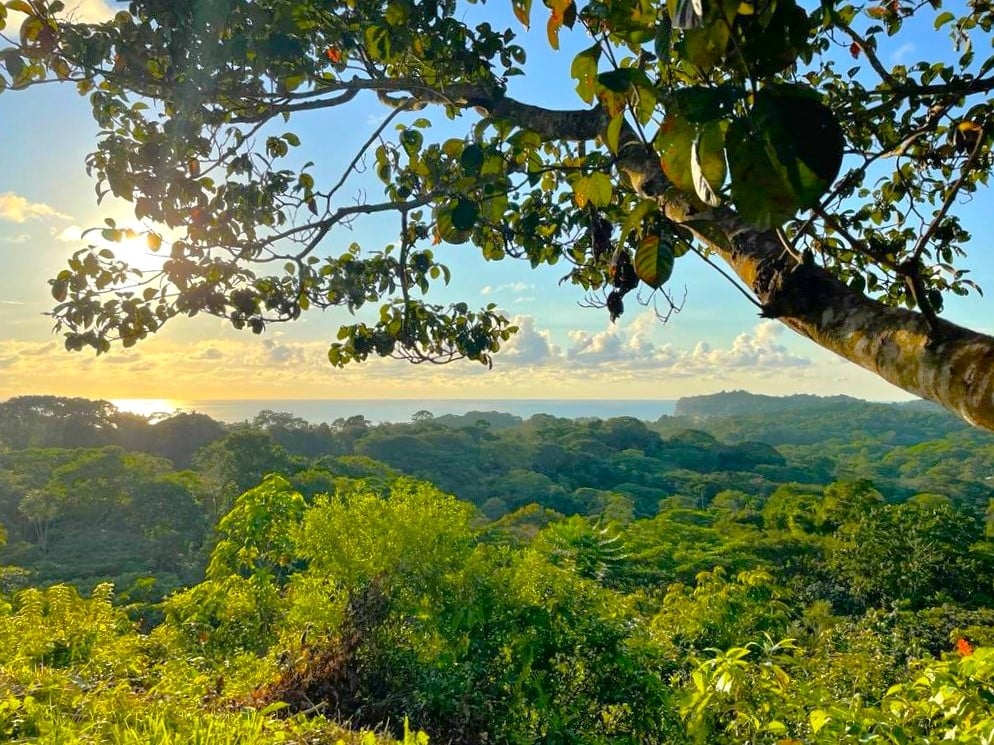3.4-Acre Ocean View Land in Finca Maranon, Ojochal property photo 5