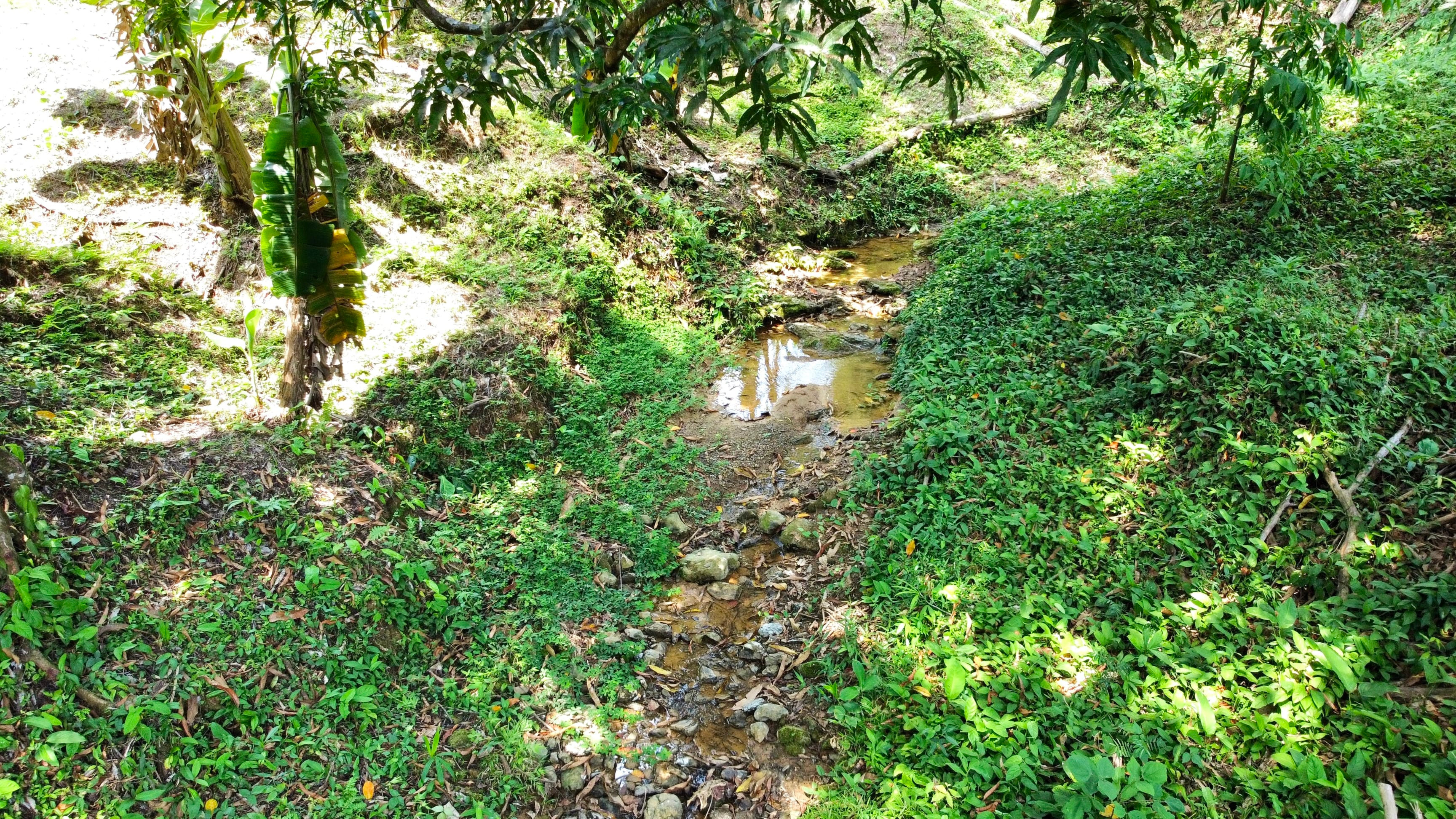 Pre-Construction Home in Playa Hermosa de Uvita property photo 3