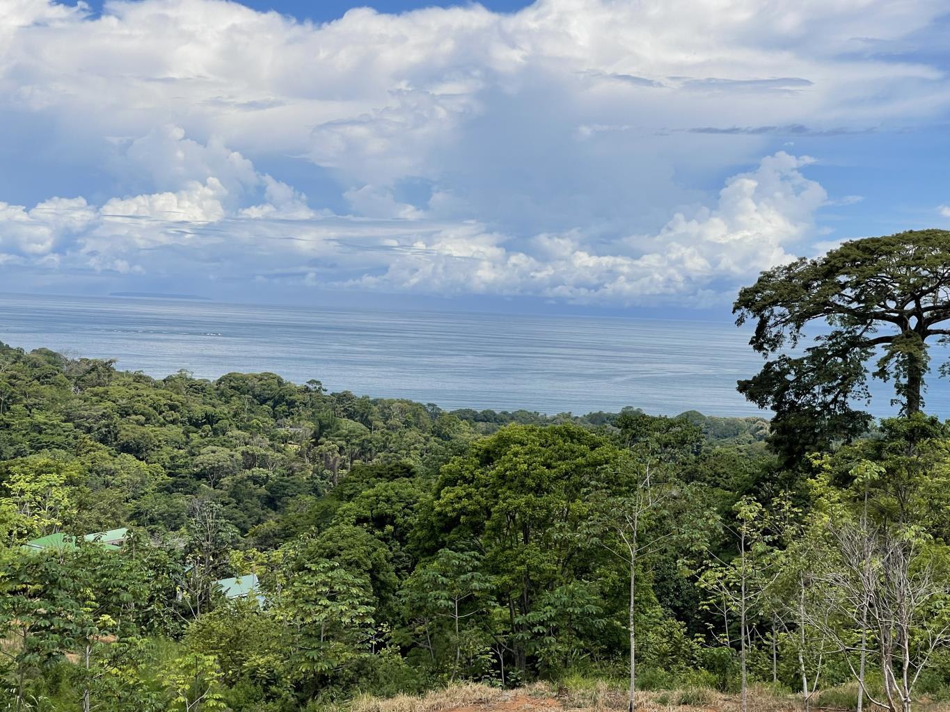 15.9-Acre Ocean View Land in Uvita in Uvita, Costa Rica