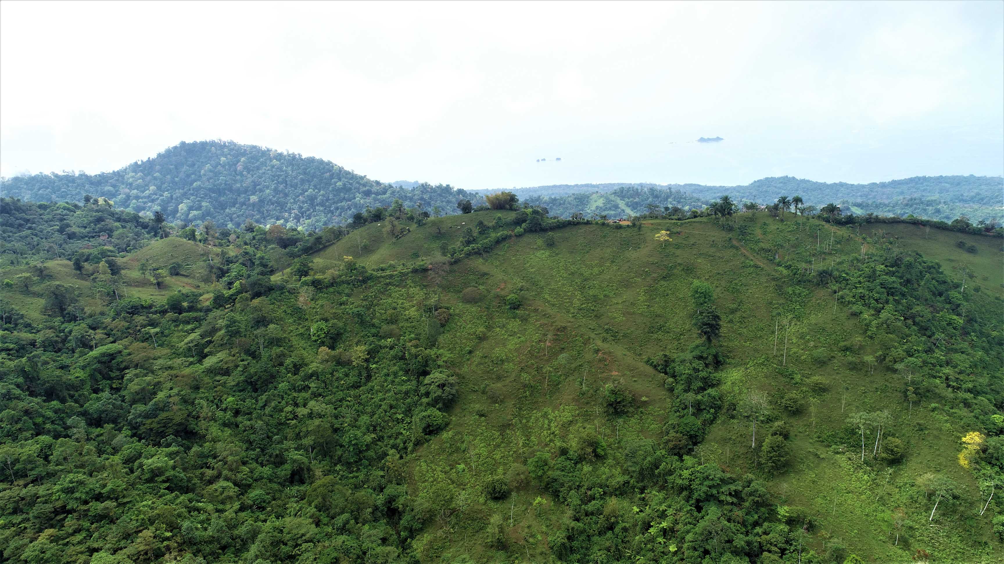 Development Farms Above the Pacific, Near Uvita property photo 3