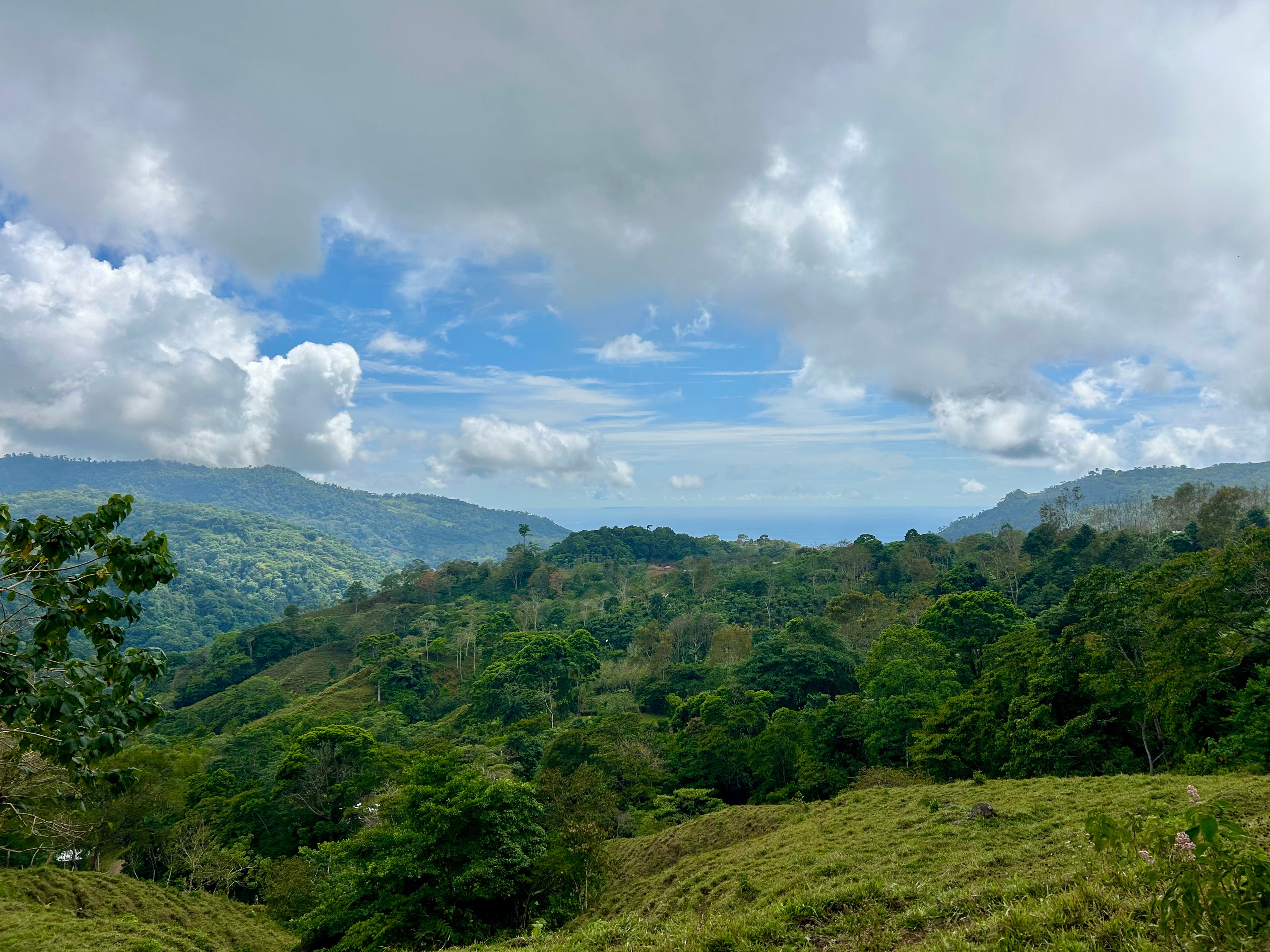17-Acre Development Land in Morete, San Luis, Uvita property photo 3