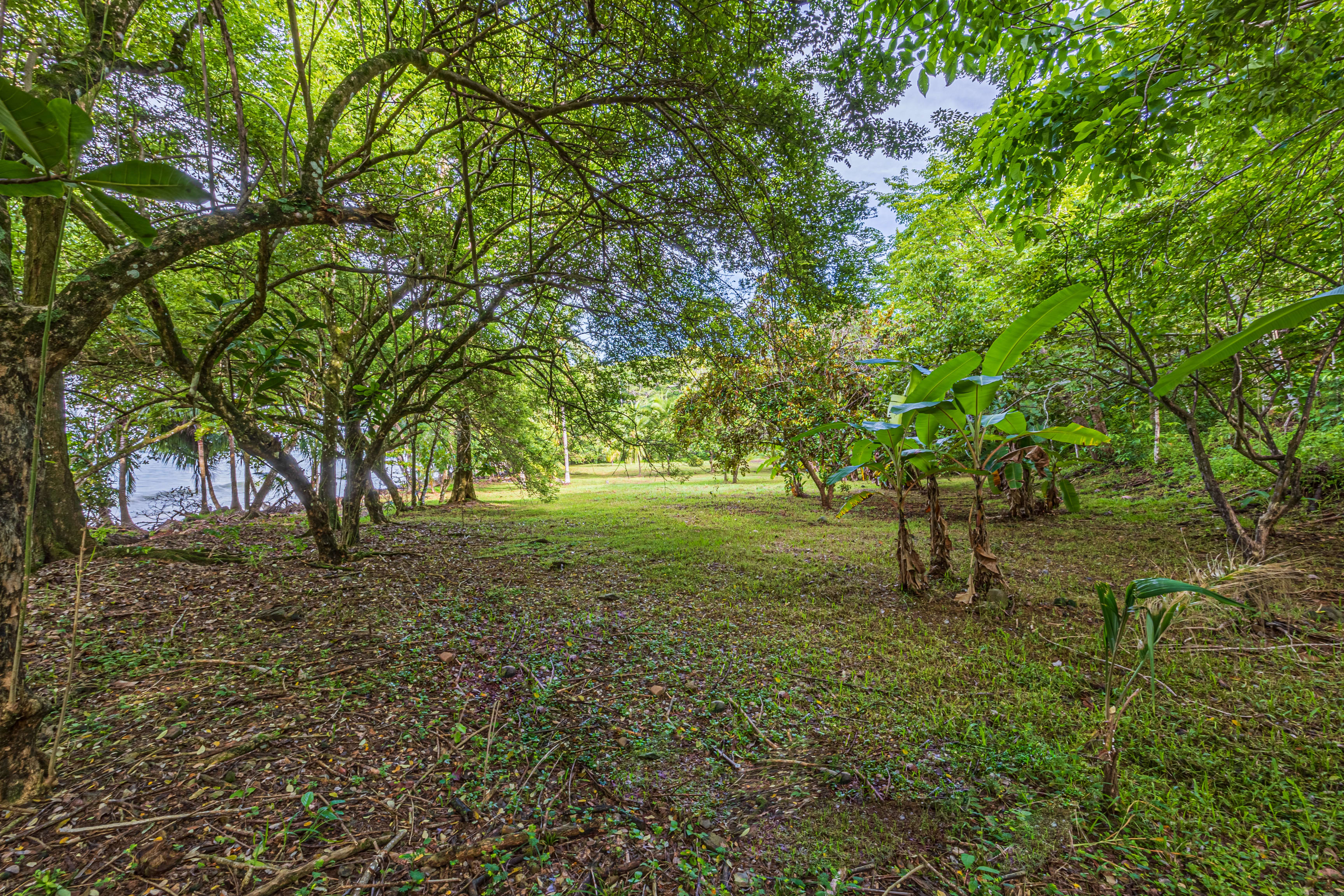 Beachfront Property Between Uvita and Dominical property photo 4