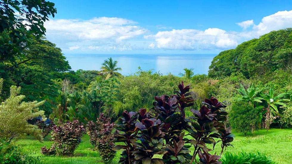 Ocean View Land in Escaleras, Dominical property photo 5