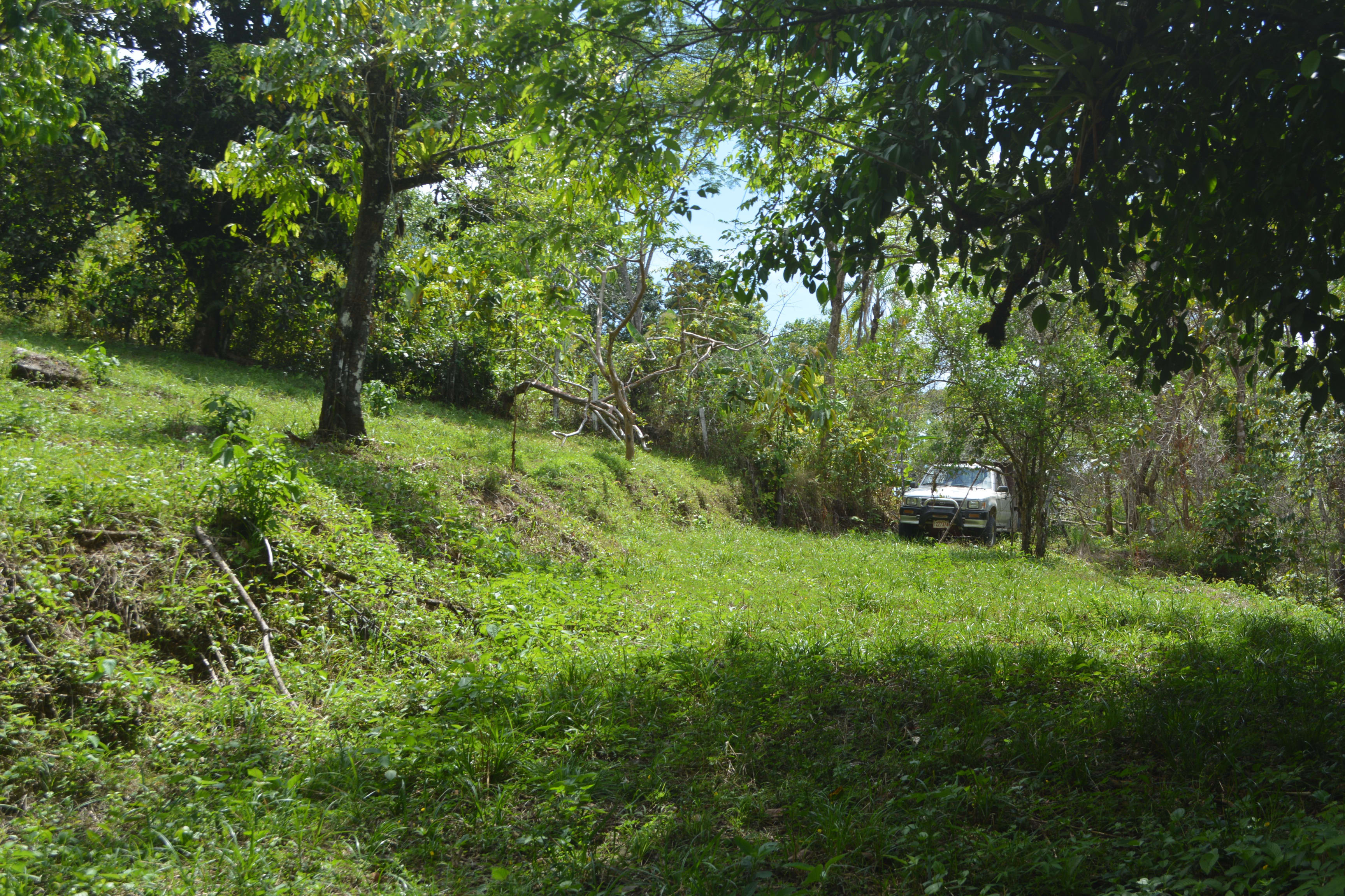 42-Acre Jungle Estate in Silencio property photo 4