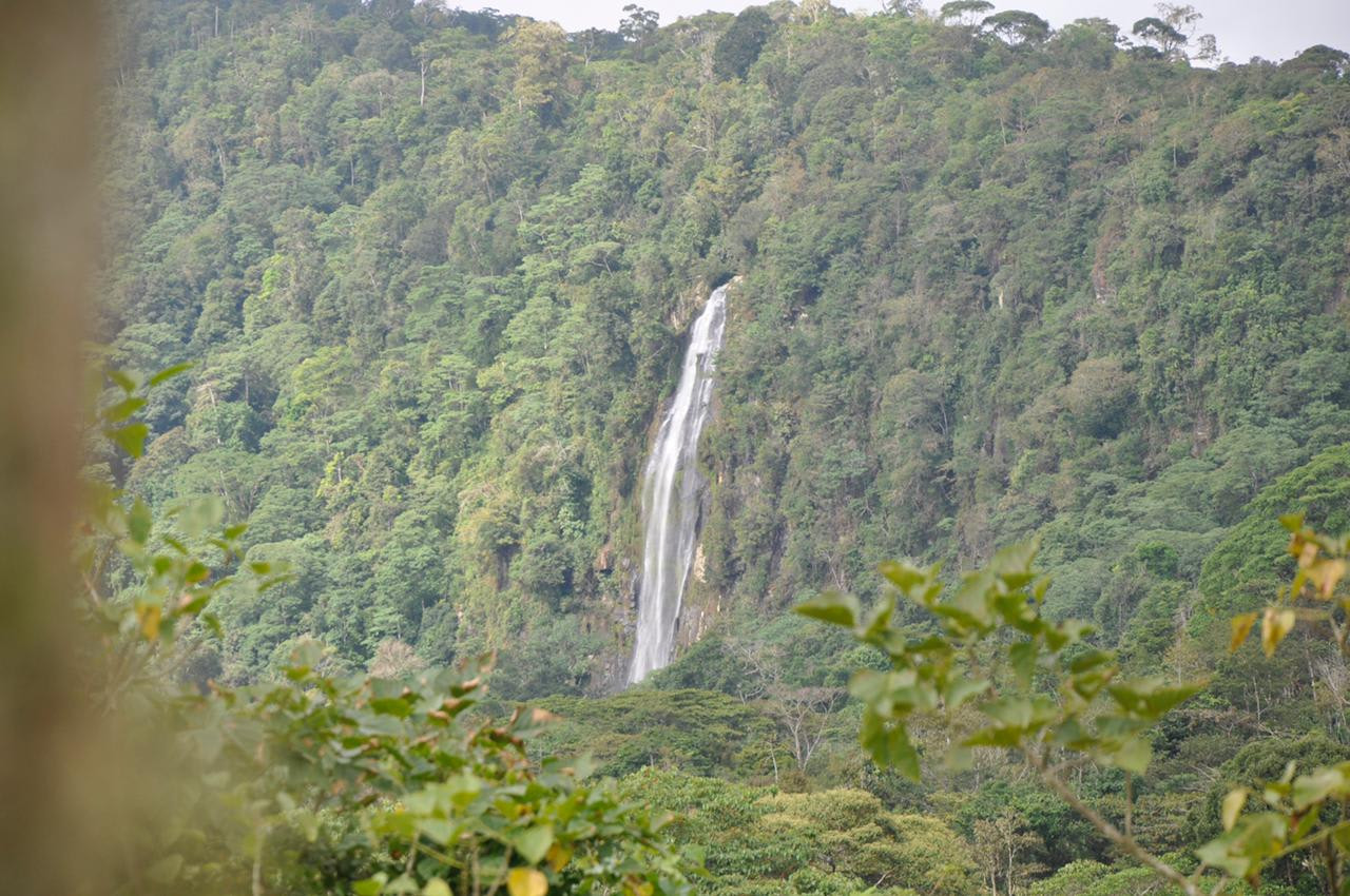 Waterfall View Farm Near Uvita property photo 4