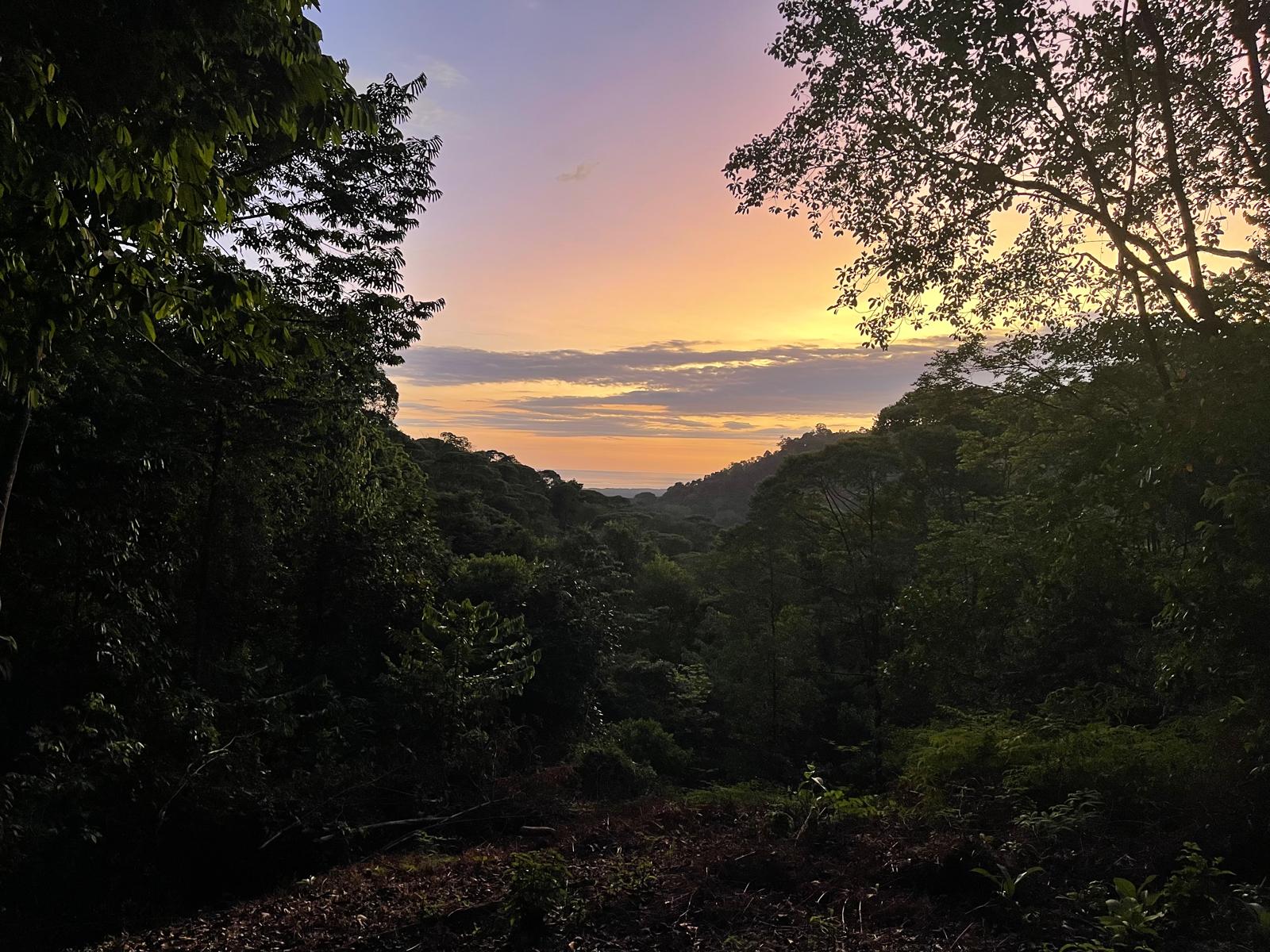 5.65-Acre Lot in Portasol, Portalon property photo 3