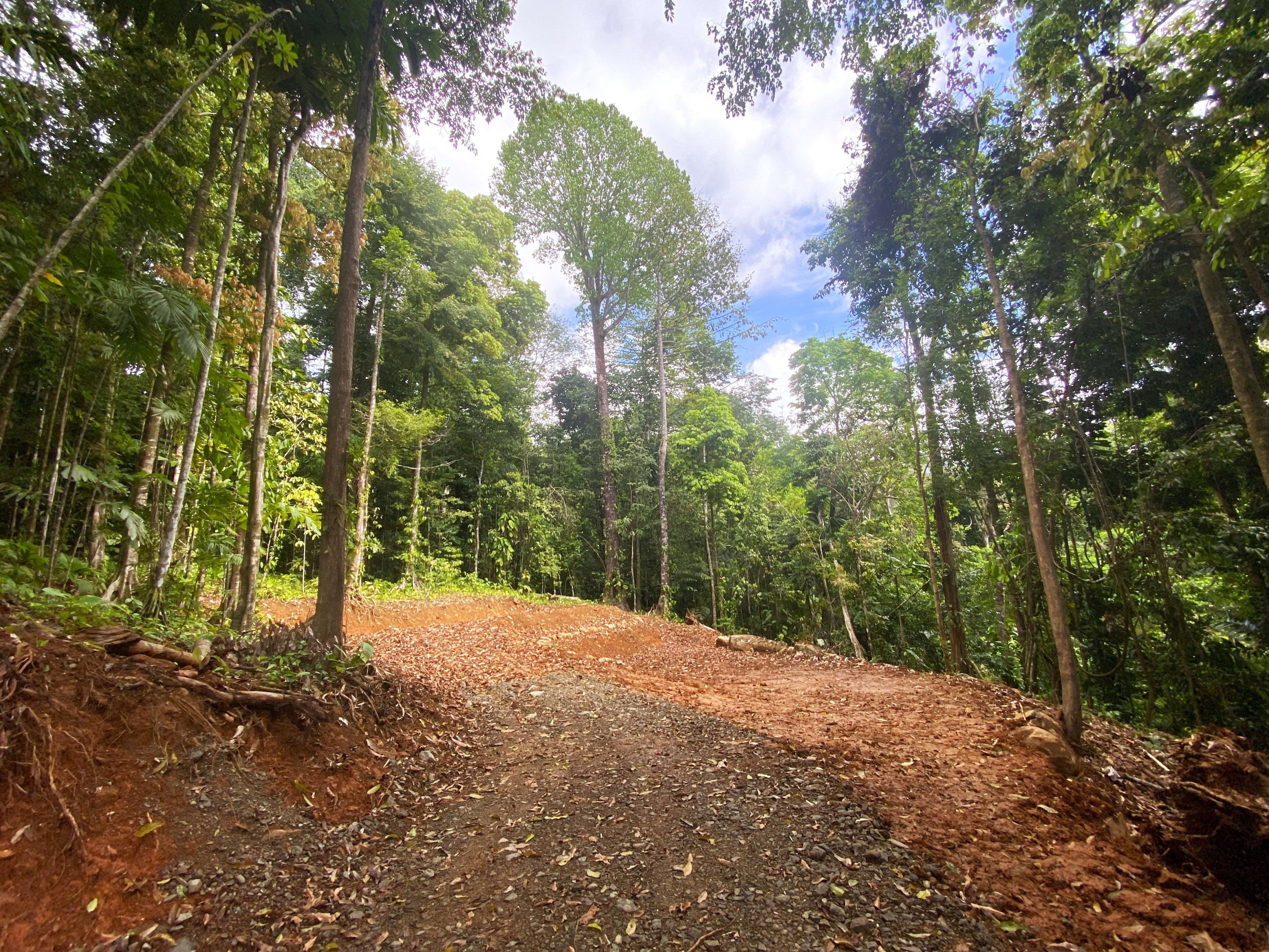 5.77-Acre Development Land in Cinco Ventanas, Ojochal property photo 4