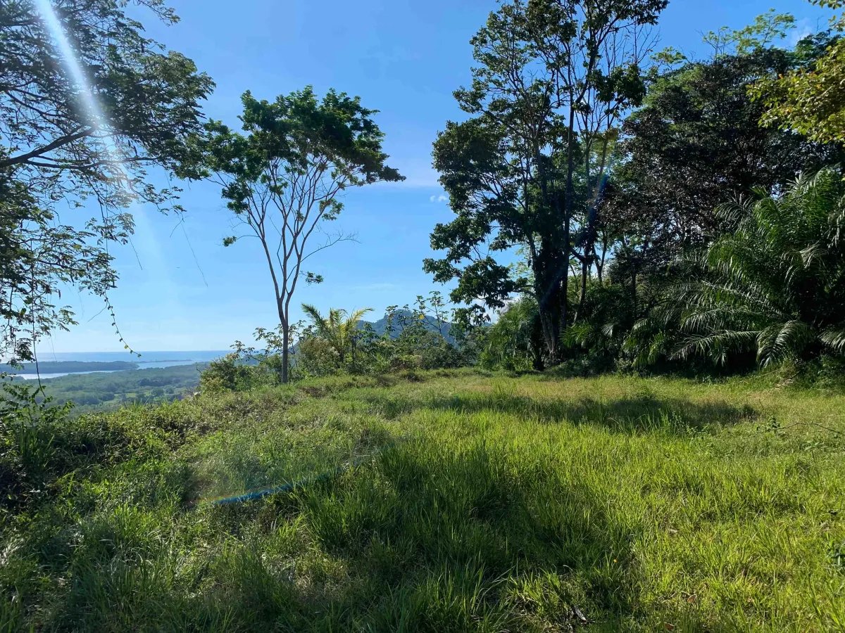13-Acre Private Land in San Buenas de Osa property photo 2