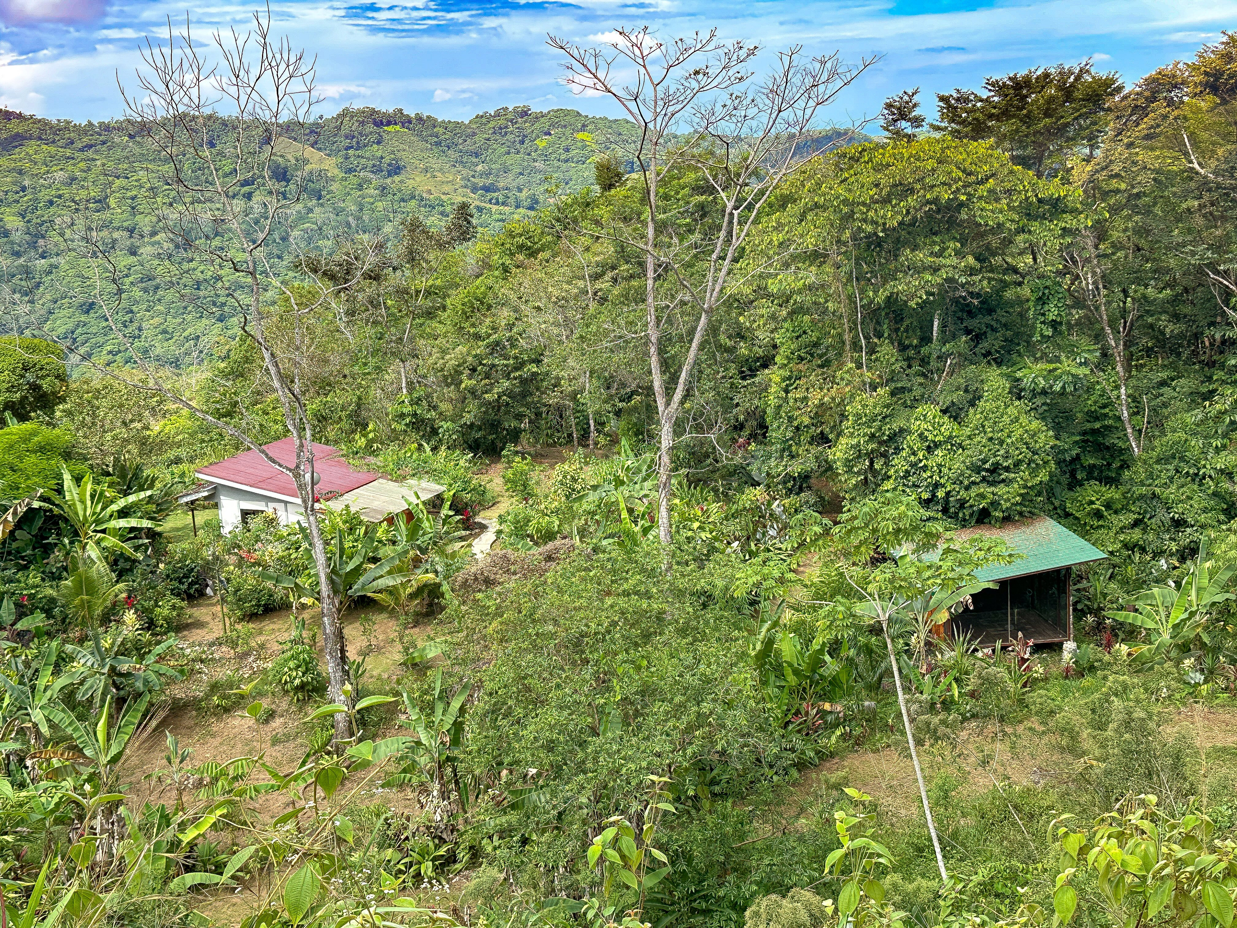 Wellness Property in Tinamastes property photo 5