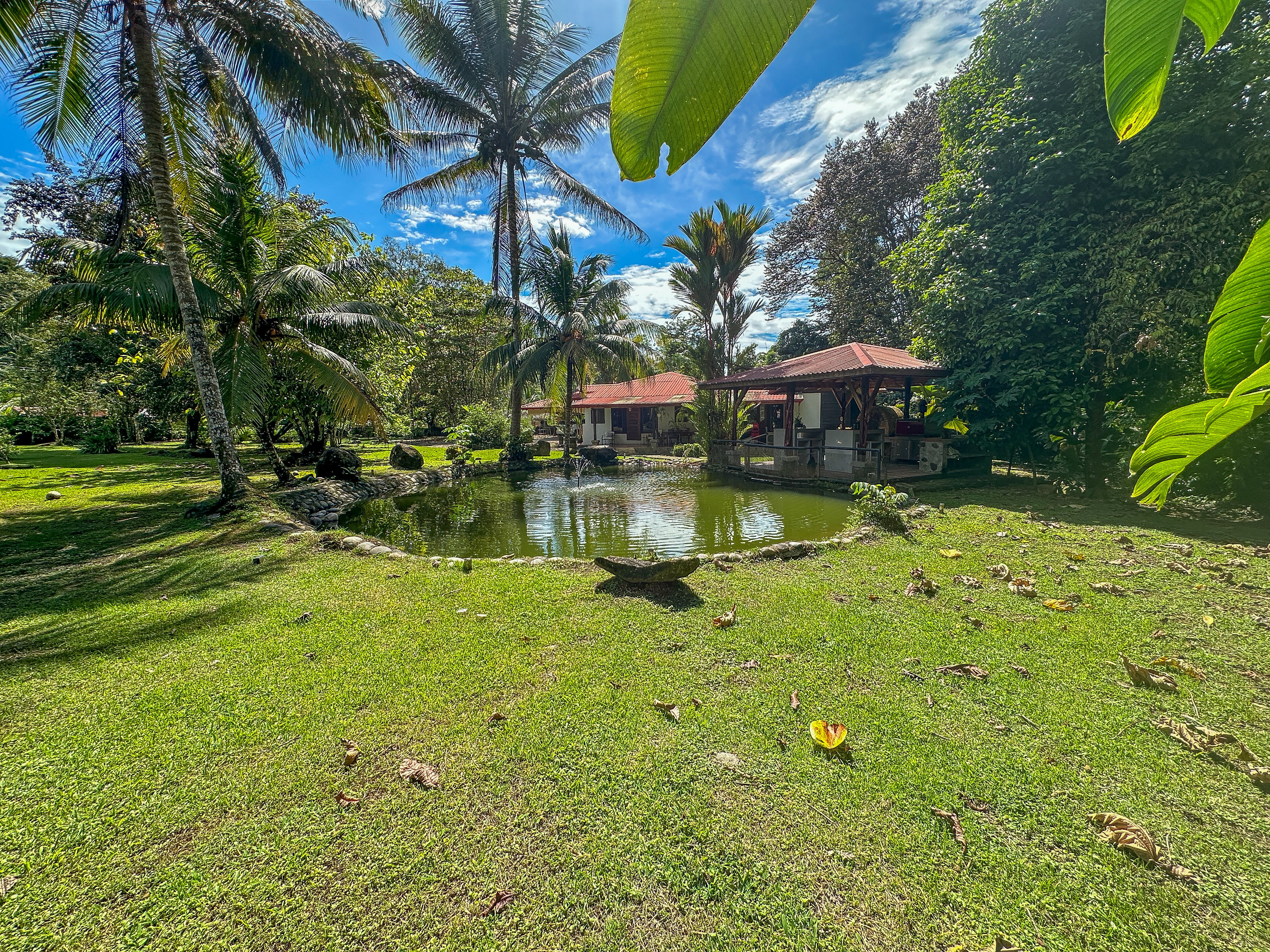 Riverfront Home in the Heart of Ojochal property photo 4