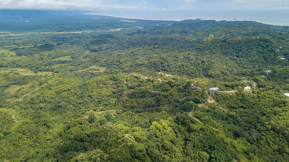 Thumbnail: 205 Acre Ocean View Land in Manuel Antonio | Panoramic Coastline