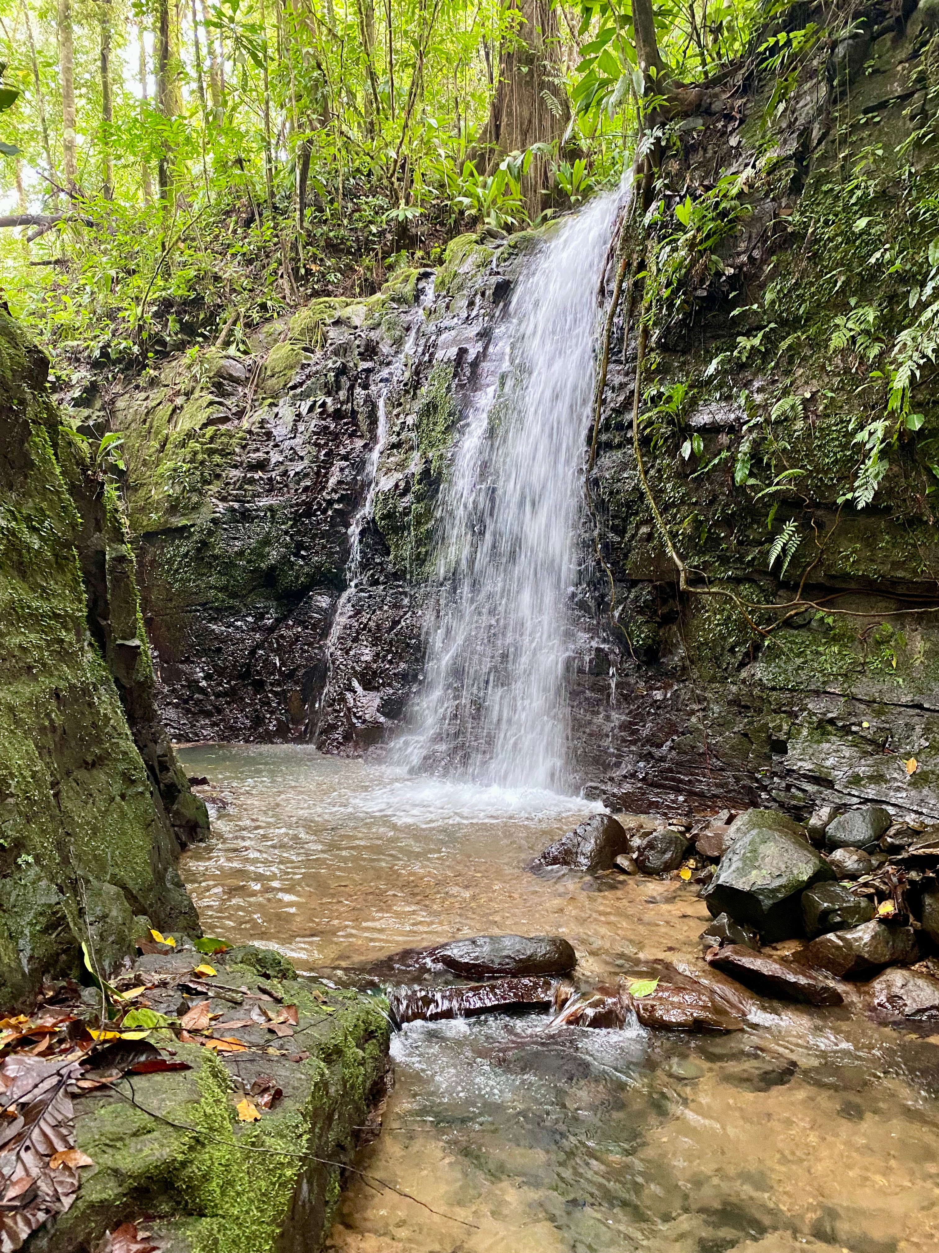 70-Acre Waterfall Land Near Ojochal property photo 4