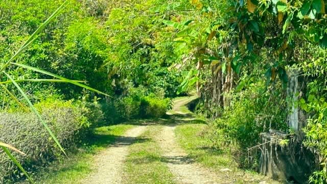 Ocean View Building Lot in Cinco Ventanas, Ojochal property photo 4
