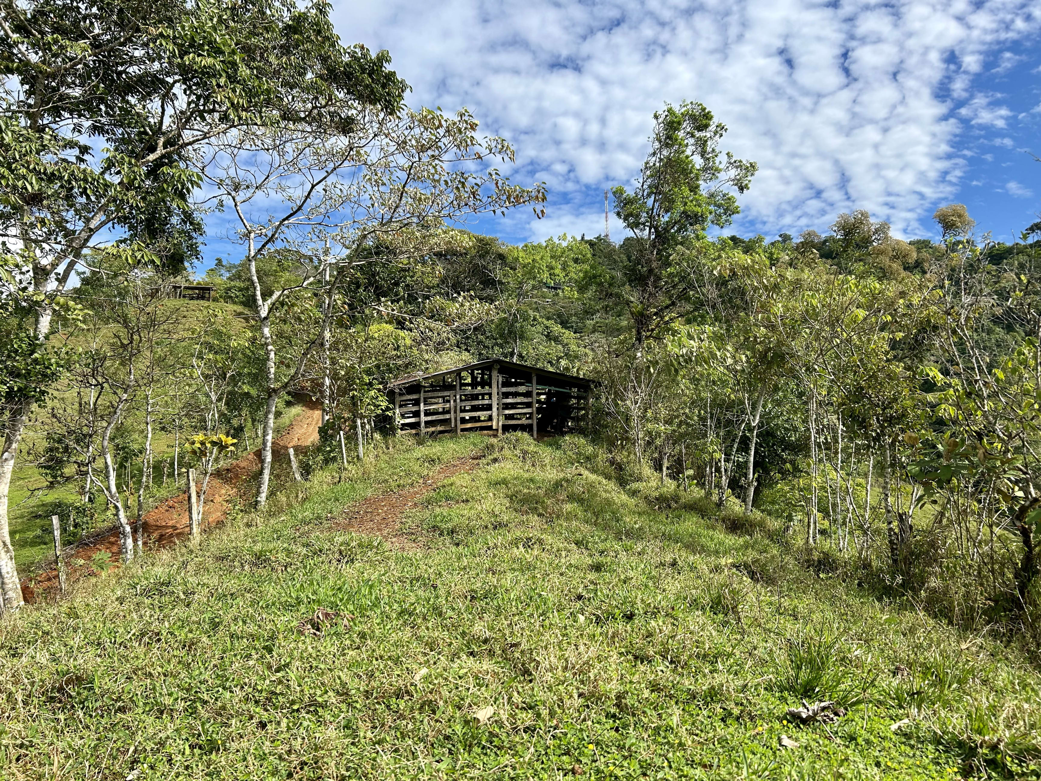 26-Acre Farm with Natural Springs in Alto de San Juan, Perez Zeledon property photo 3