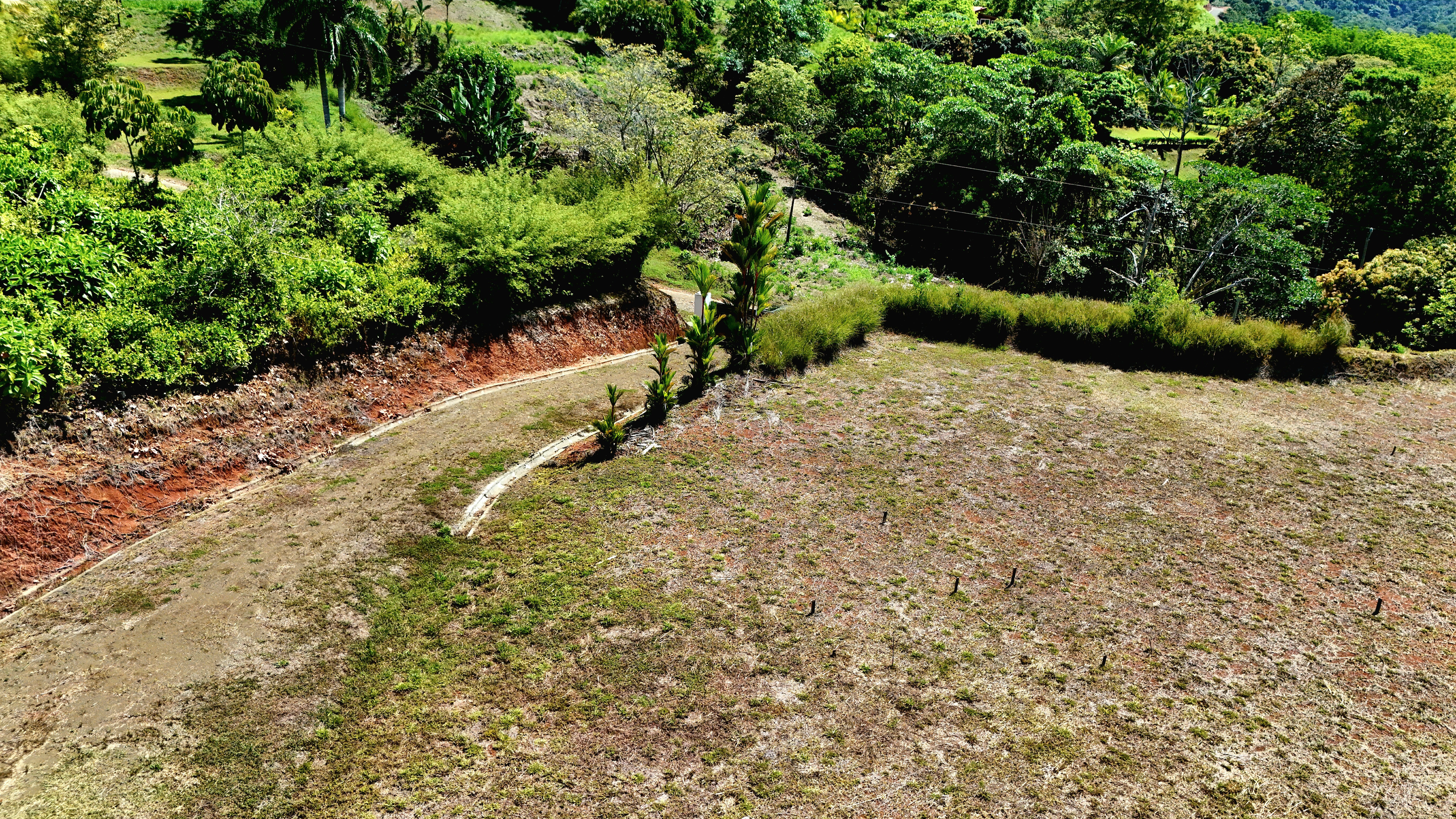 Ocean View Land with River and Waterfall Access in Tres Rios de Osa property photo 3
