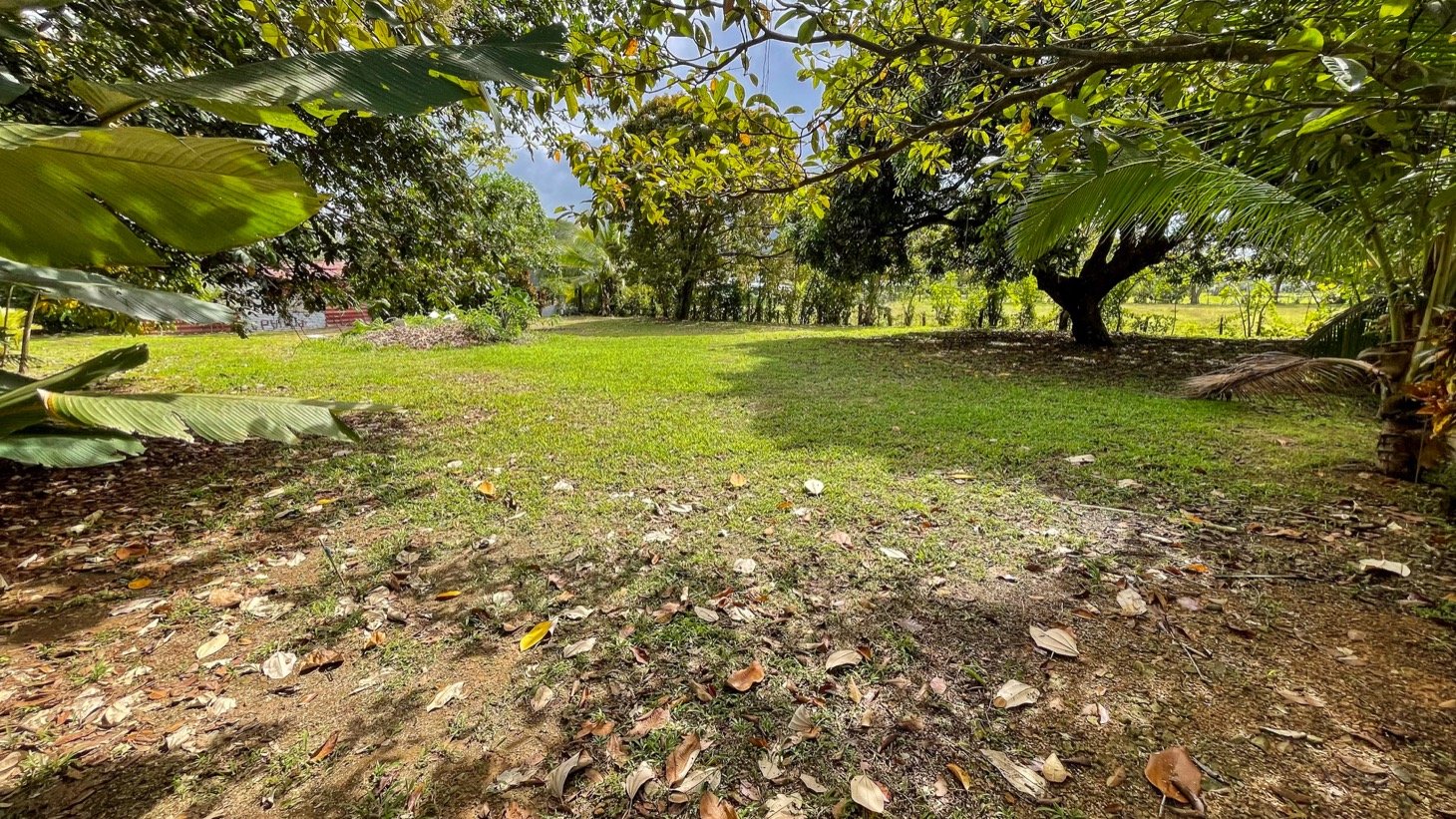 Walk-to-Beach Dual-Access Lot in Bahia Ballena, Uvita property photo 3
