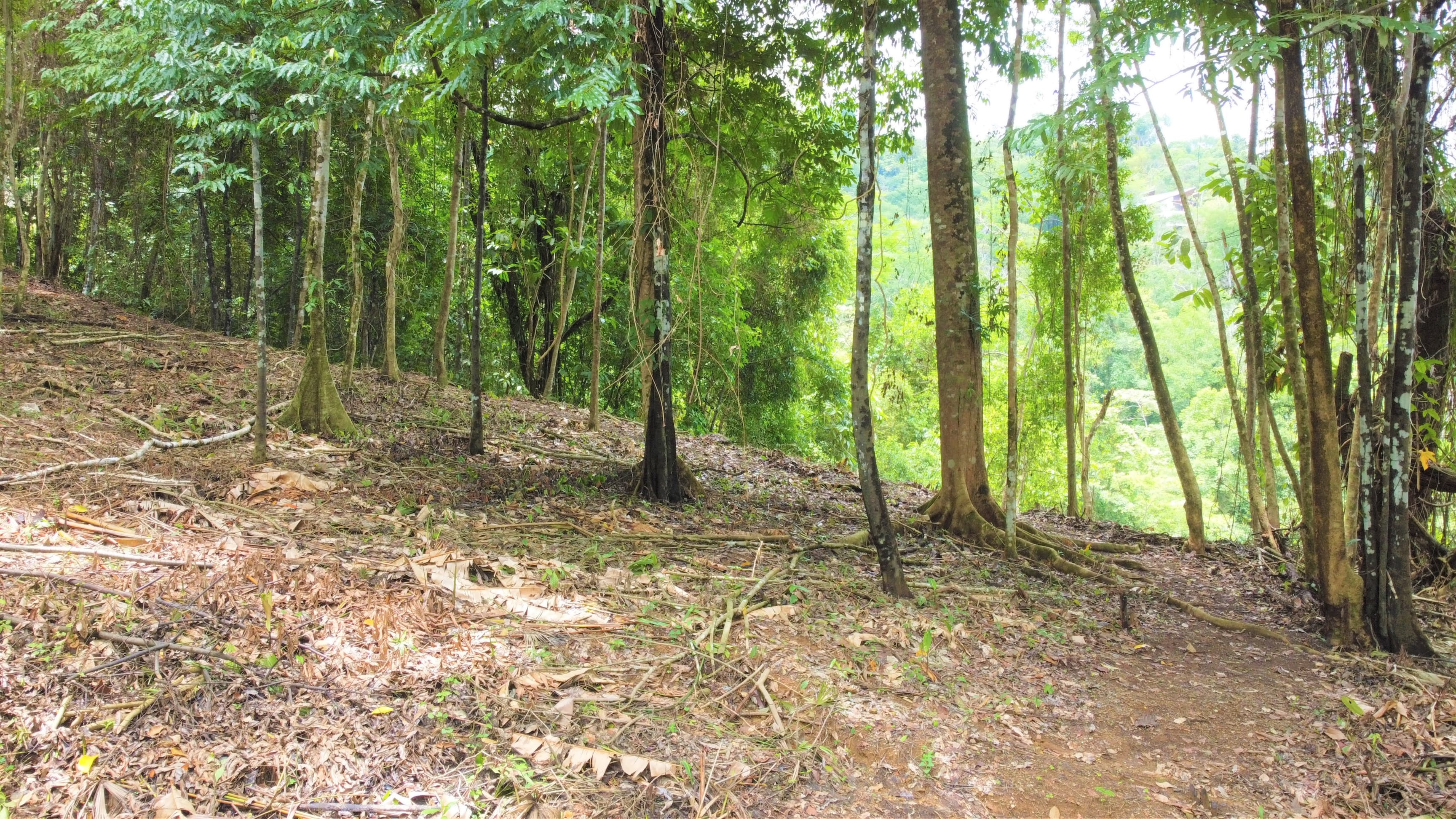3.5-Acre Estate Land on Bejuco Road, Uvita property photo 2