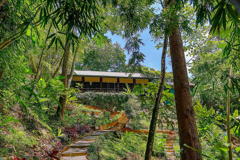 Thumbnail: Estate in Dominical | 20 Bed / 24 Bath