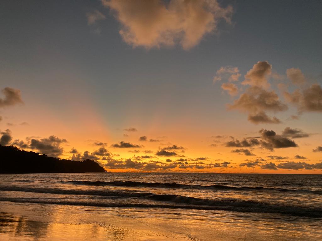 Beachfront Land Near Corcovado, Rincon de San Josecito property photo 4