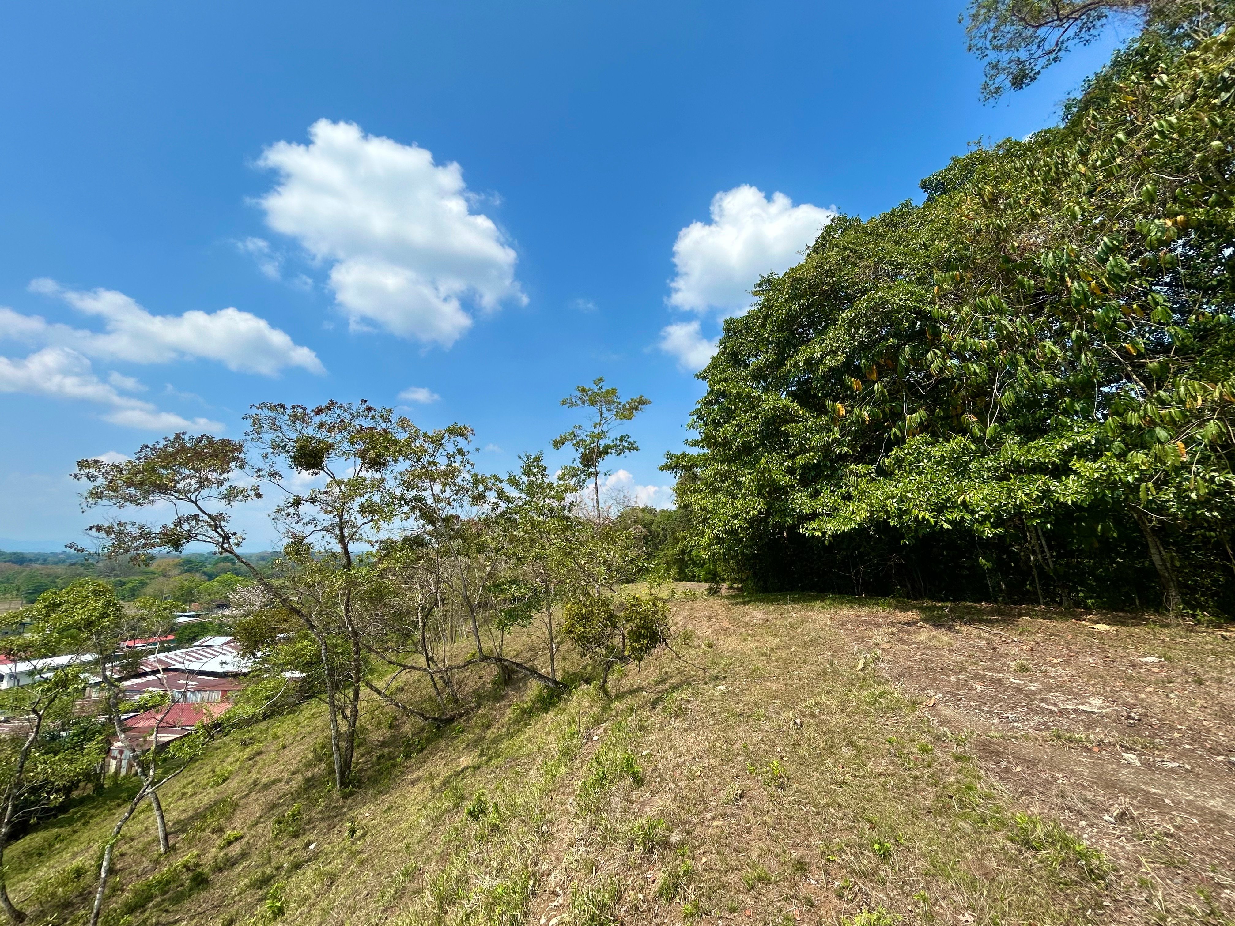 12-Acre Development Land in Barrio Alemania, Palmar Norte in Ojochal, Costa Rica