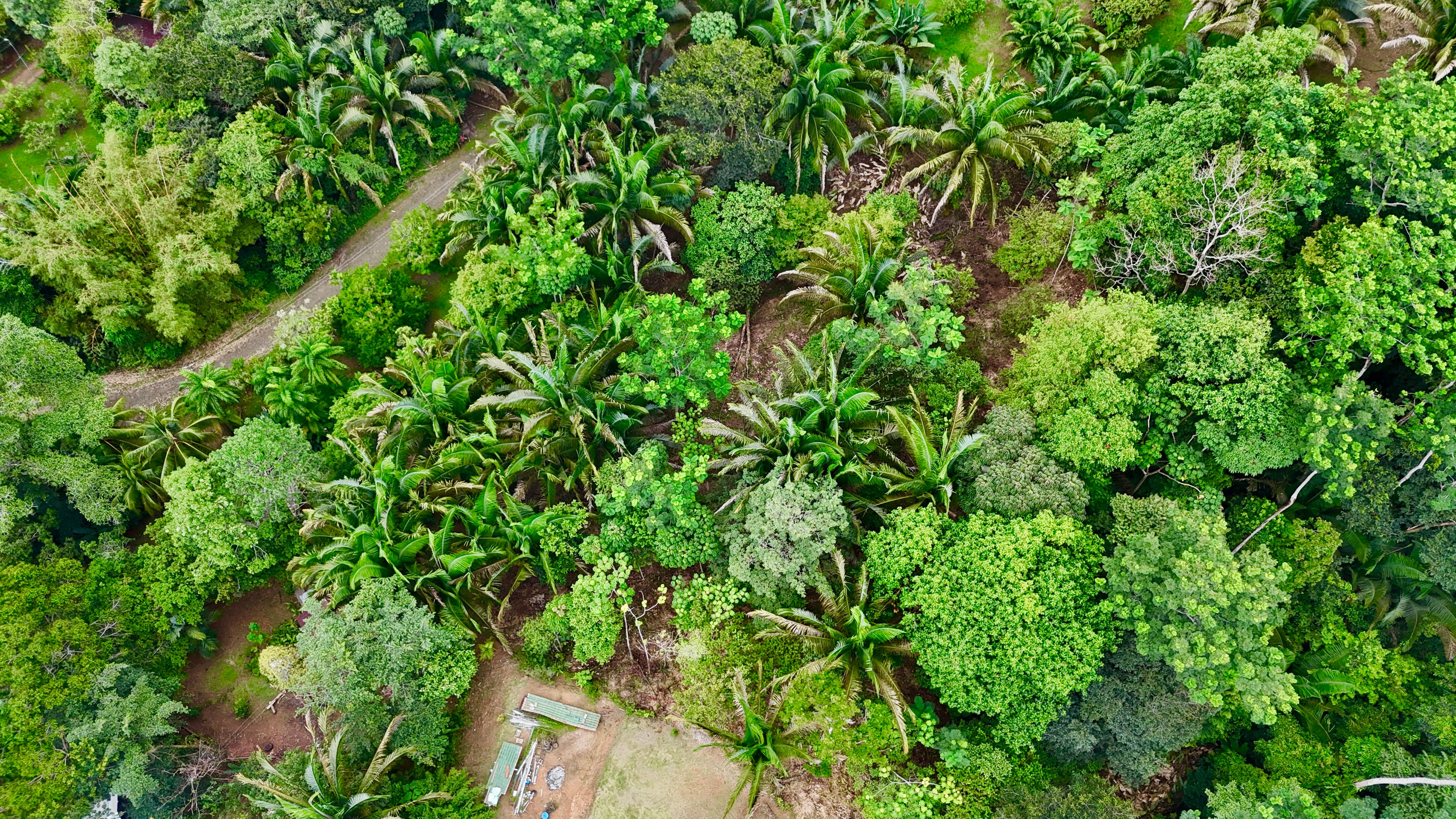 1.4-Acre Lot in Playa Hermosa, Uvita property photo 3