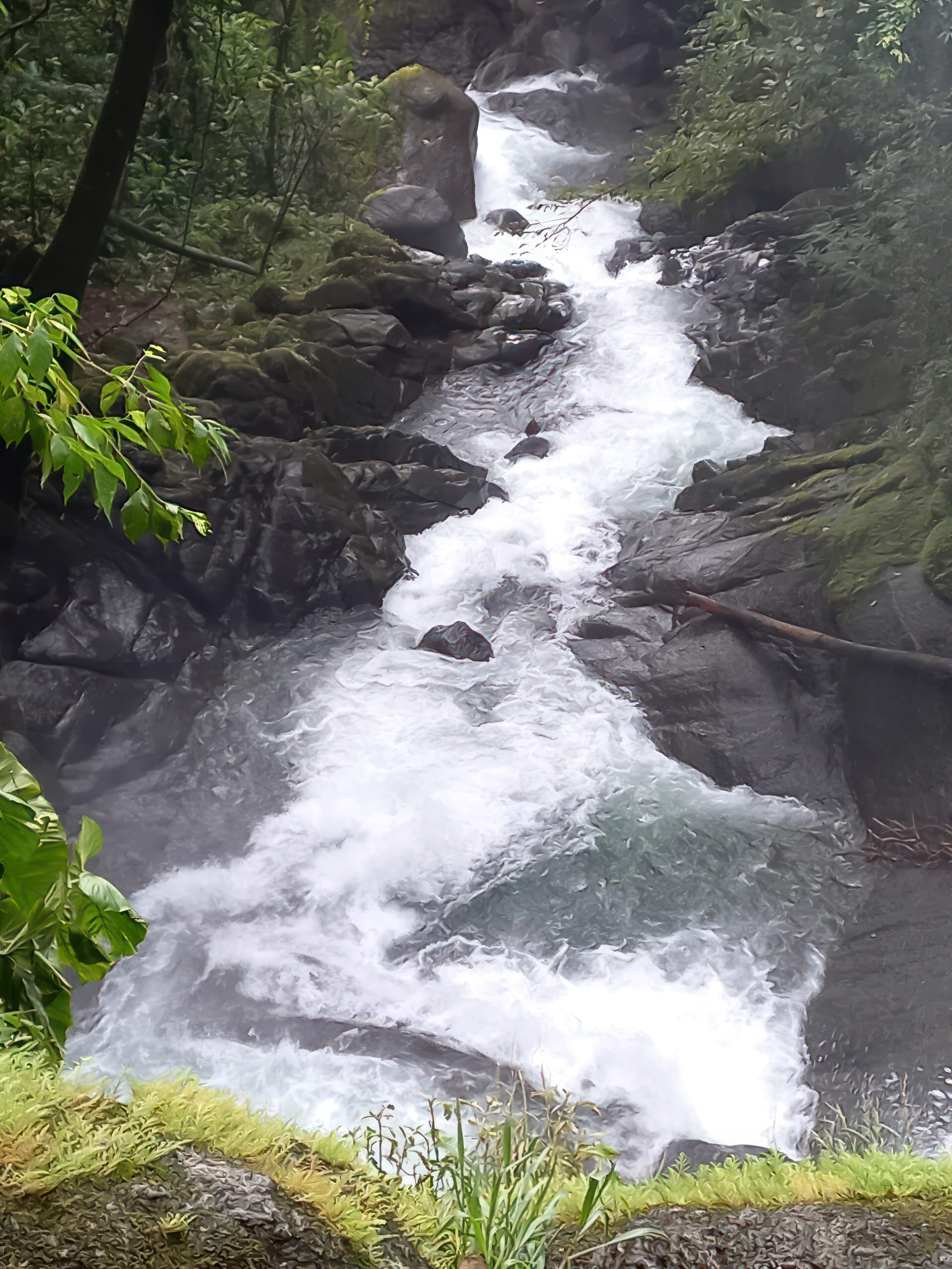 61-Acre Conservation Land in Naranjito, Quepos property photo 2