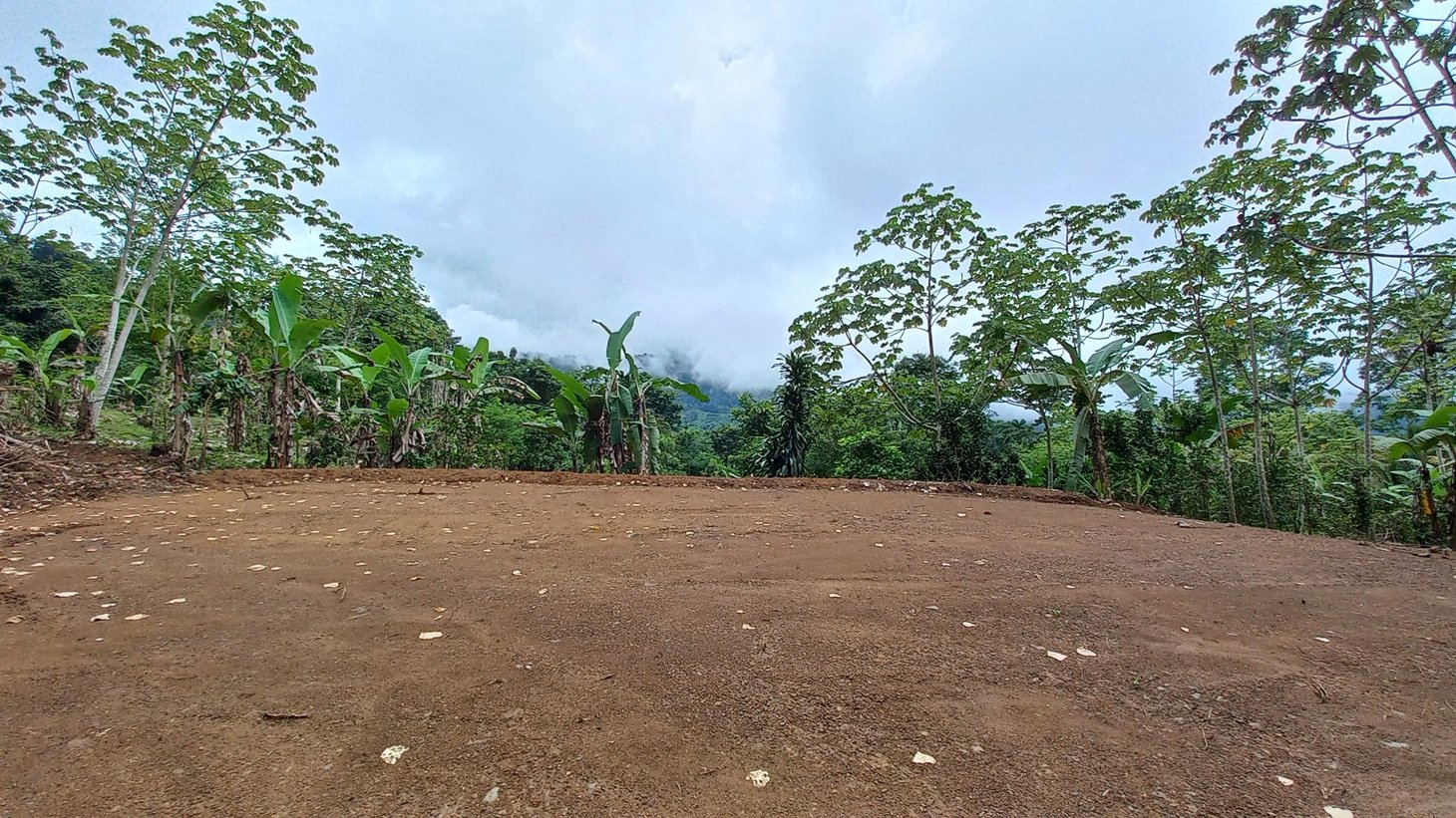 Mountain View Land in San Luis, Above Uvita property photo 4